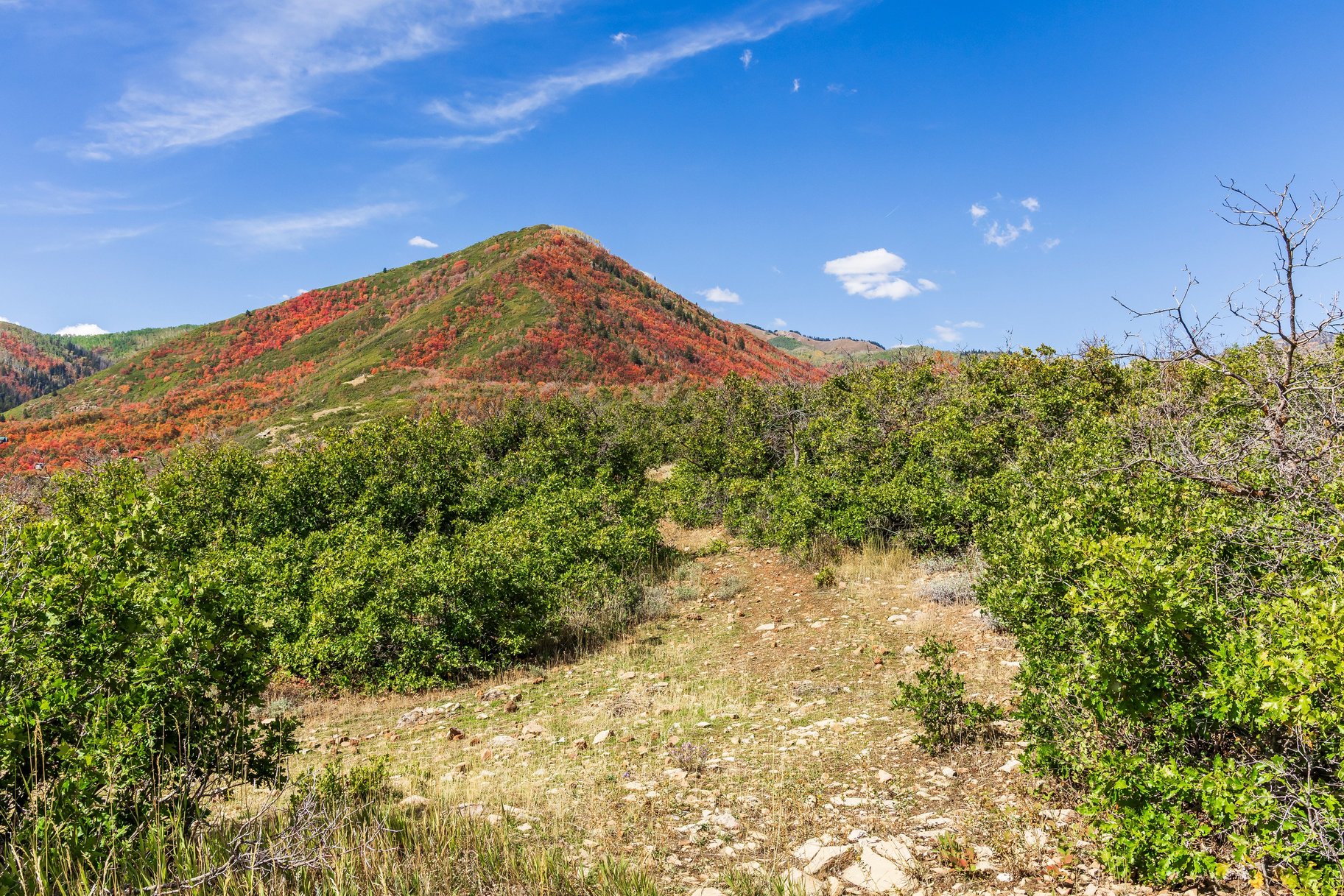  Unobstructed Panoramic Views on this 15+ Acre Homesite with No CCRs - 物件實景