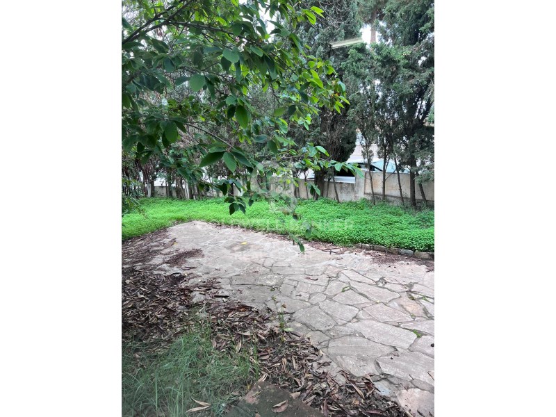 M?laga, Marbella, Las Chapas-El Rosario M?laga, Ma, Marbella, Andalusia, ES, 4 Bedrooms Bedrooms, ,3 BathroomsBathrooms,Residential,For Sale,M?laga, Marbella, Las Chapas-El Rosario M?laga, Ma,1665927