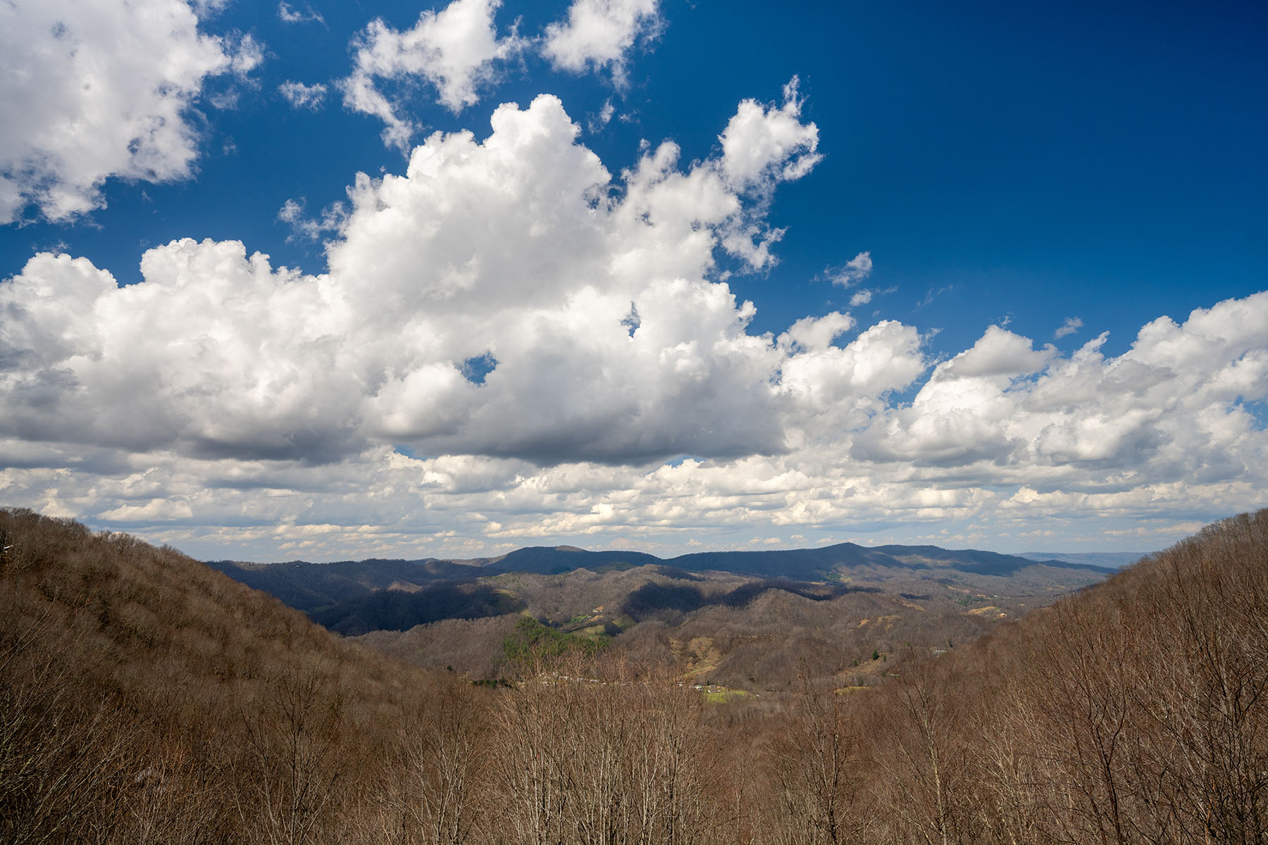  SILVERLEAF - ZIONVILLE - 物件實景