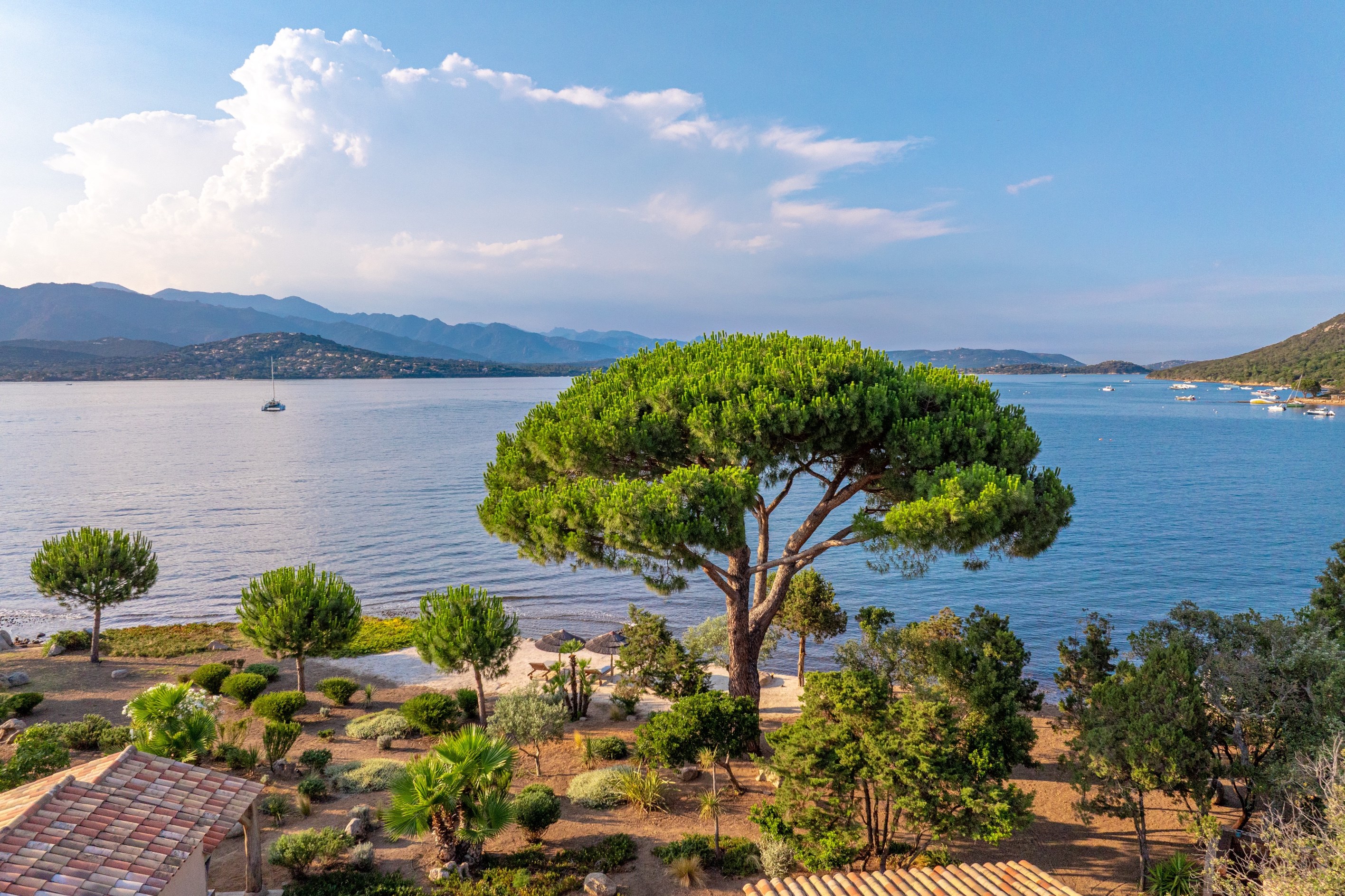  SALE: WATERFRONT PROPERTY – GULF OF PORTO-VECCHIO, CORSICA - 物件實景