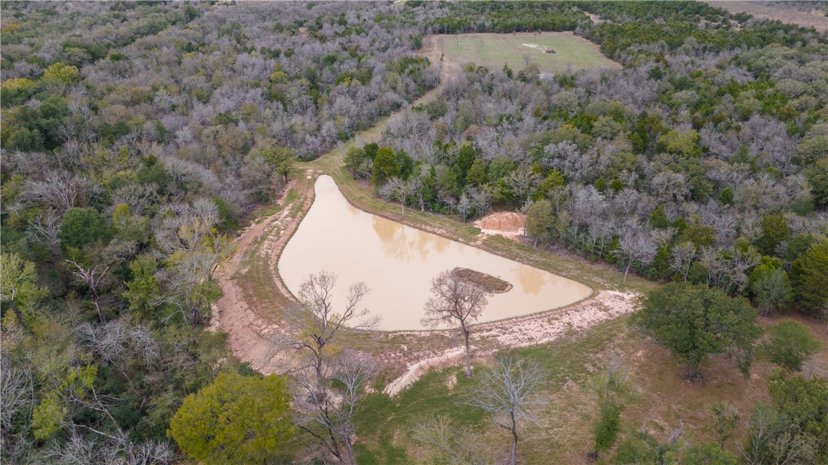 Thornton, Texas, 76687, United States, ,Land,For Sale,2003074