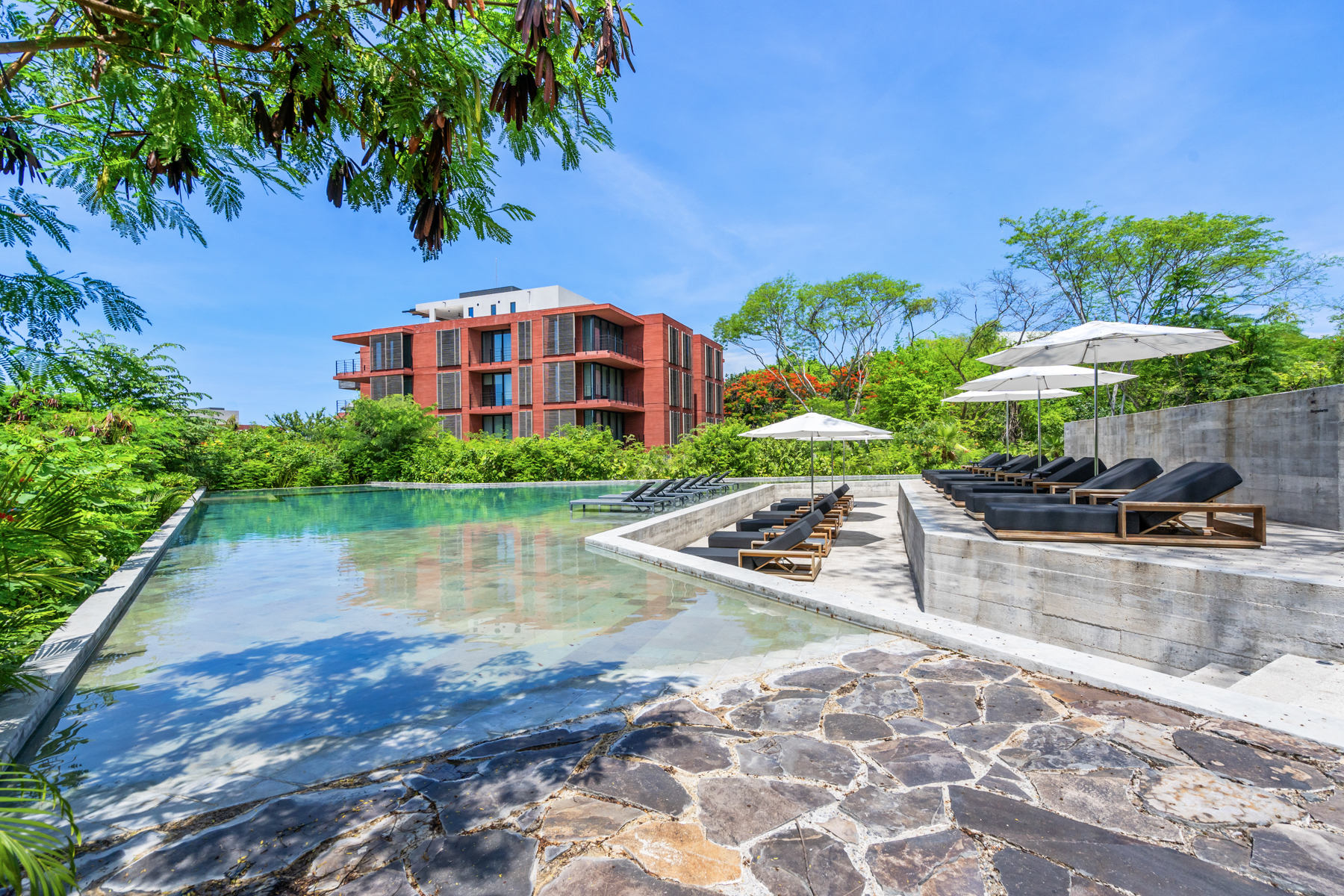  NAYA 2202  Contemporary Elegance by the Sea, La Cruz de Huanacaxtle - 物件實景