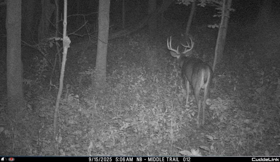 Muscoda, Wisconsin, 53573, United States, 3 Bedrooms Bedrooms, ,3 BathroomsBathrooms,Residential,For Sale,1990387