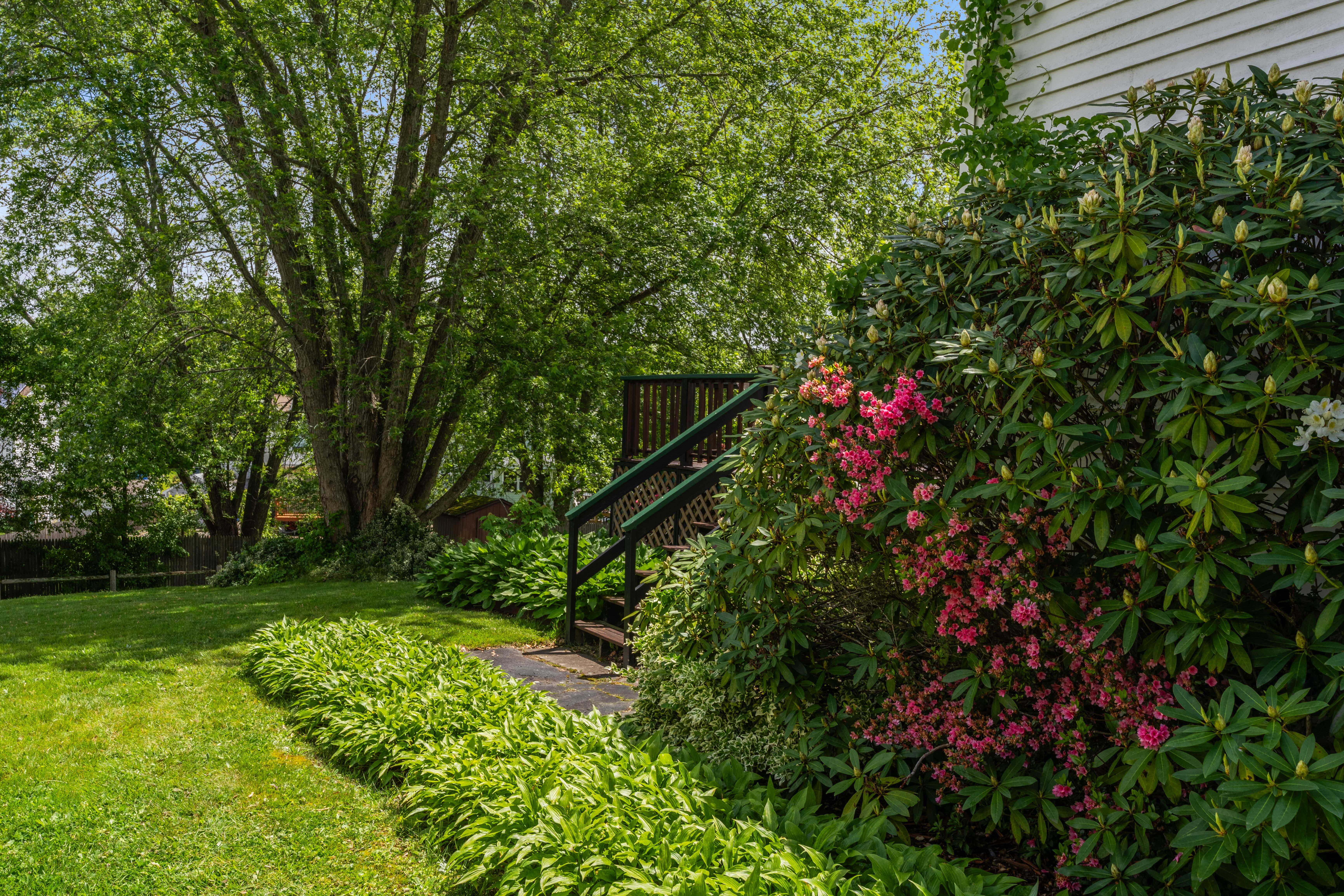  59 Boylston Street, Randolph, MA, 02366 - 物件實景