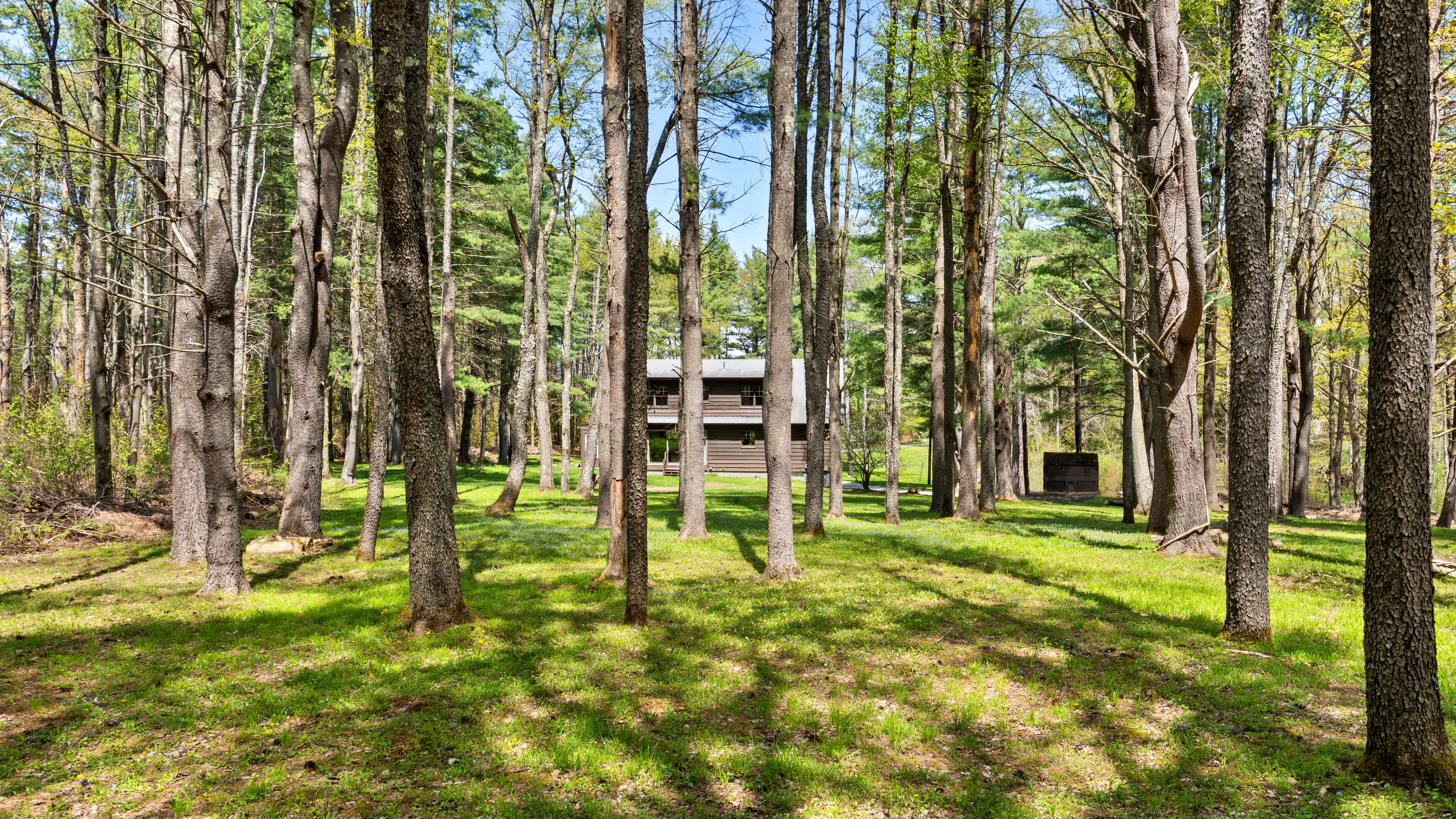  Secluded Lenox Acreage – Privacy, Character, & Minutes to Downtown - 物件實景