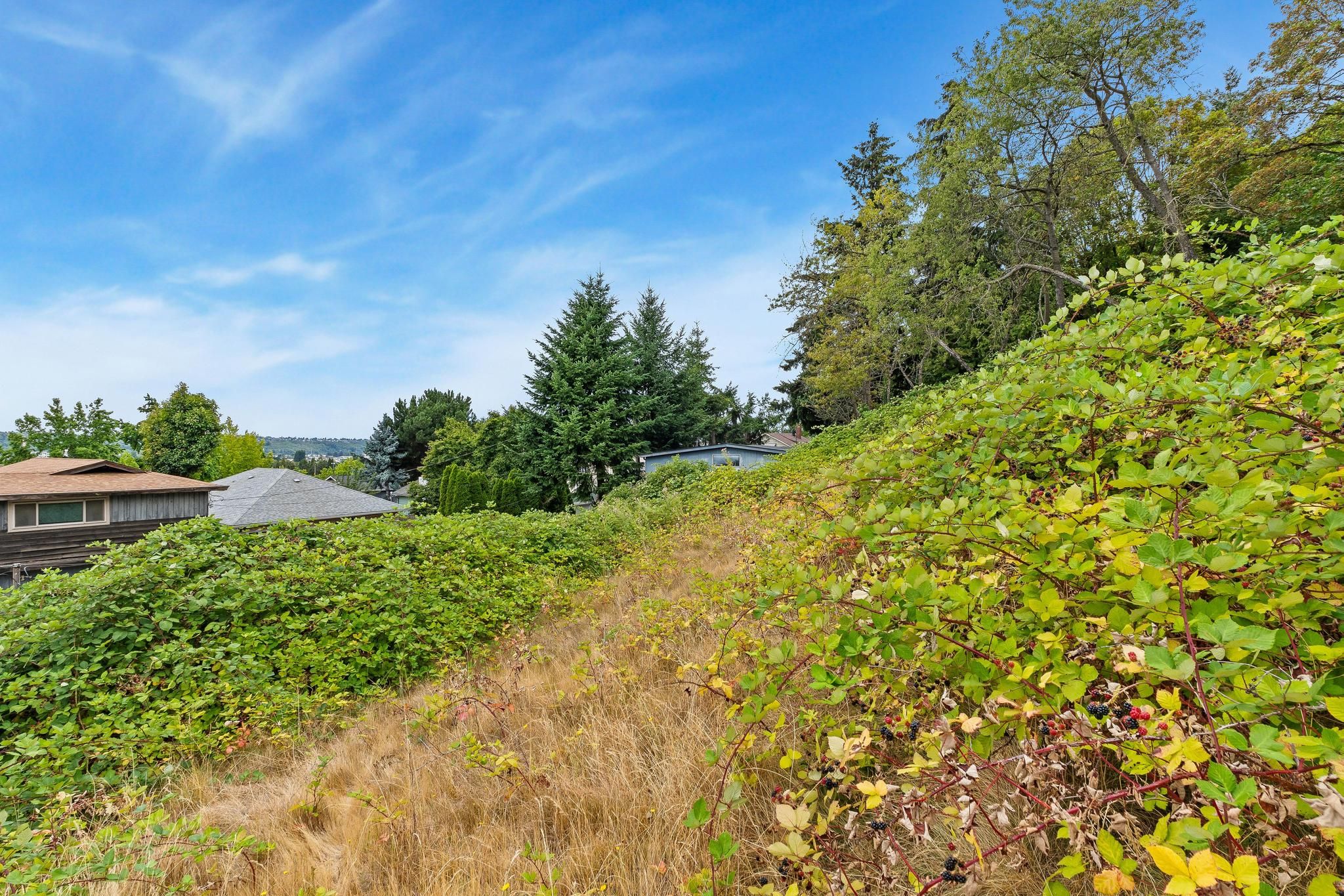  1924 South Graham Street, Seattle, WA 98108 - 物件實景