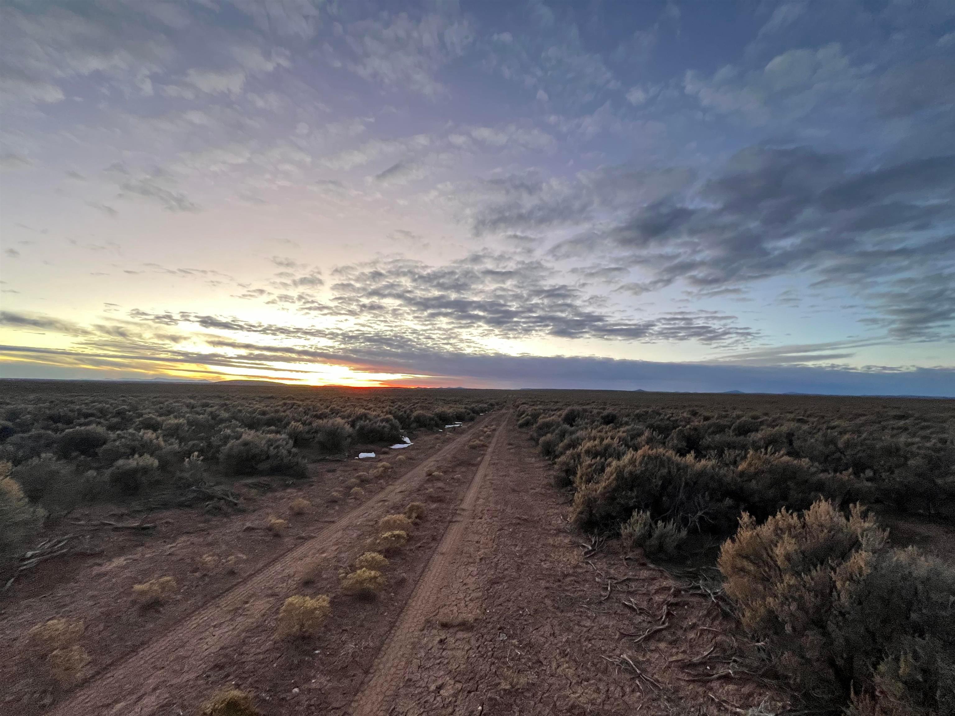 Sheep Herder Rd, Tres Piedras, New Mexico, 87577, United States, ,Land,For Sale,Sheep Herder Rd,1679207