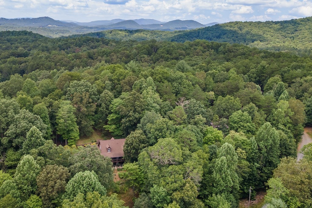 Morganton, Georgia, 30560, United States, 3 Bedrooms Bedrooms, ,3 BathroomsBathrooms,Residential,For Sale,1903694