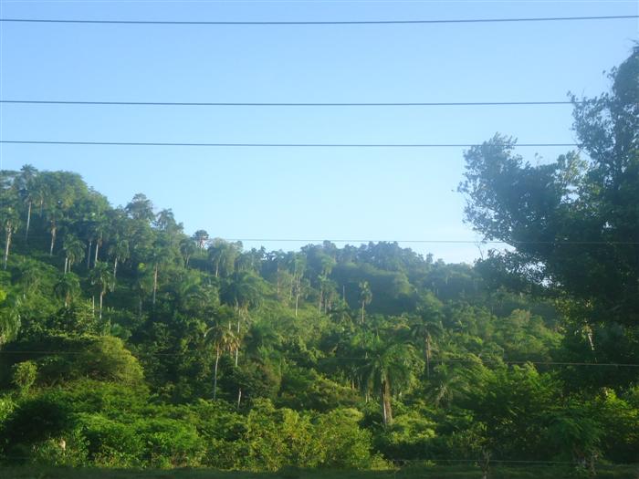 Sosua, DO, ,Land,For Sale,1907568