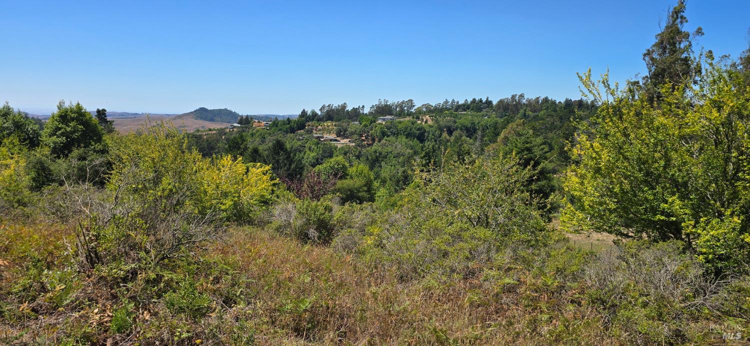 Sebastopol, California, 95472, United States, 3 Bedrooms Bedrooms, ,3 BathroomsBathrooms,Residential,For Sale,1903540