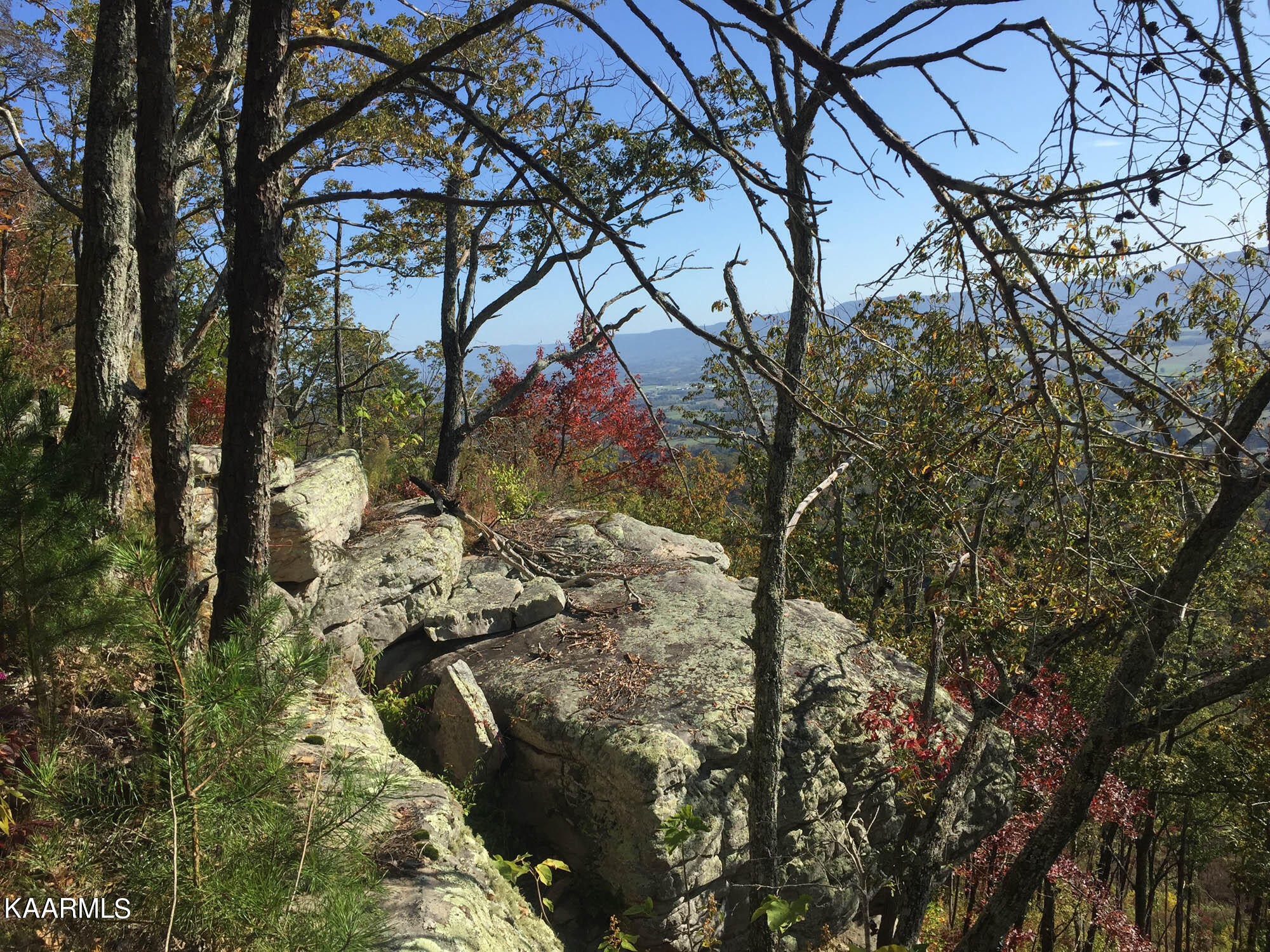 Pikeville, Tennessee, 37367, United States, ,Residential,For Sale,1943070