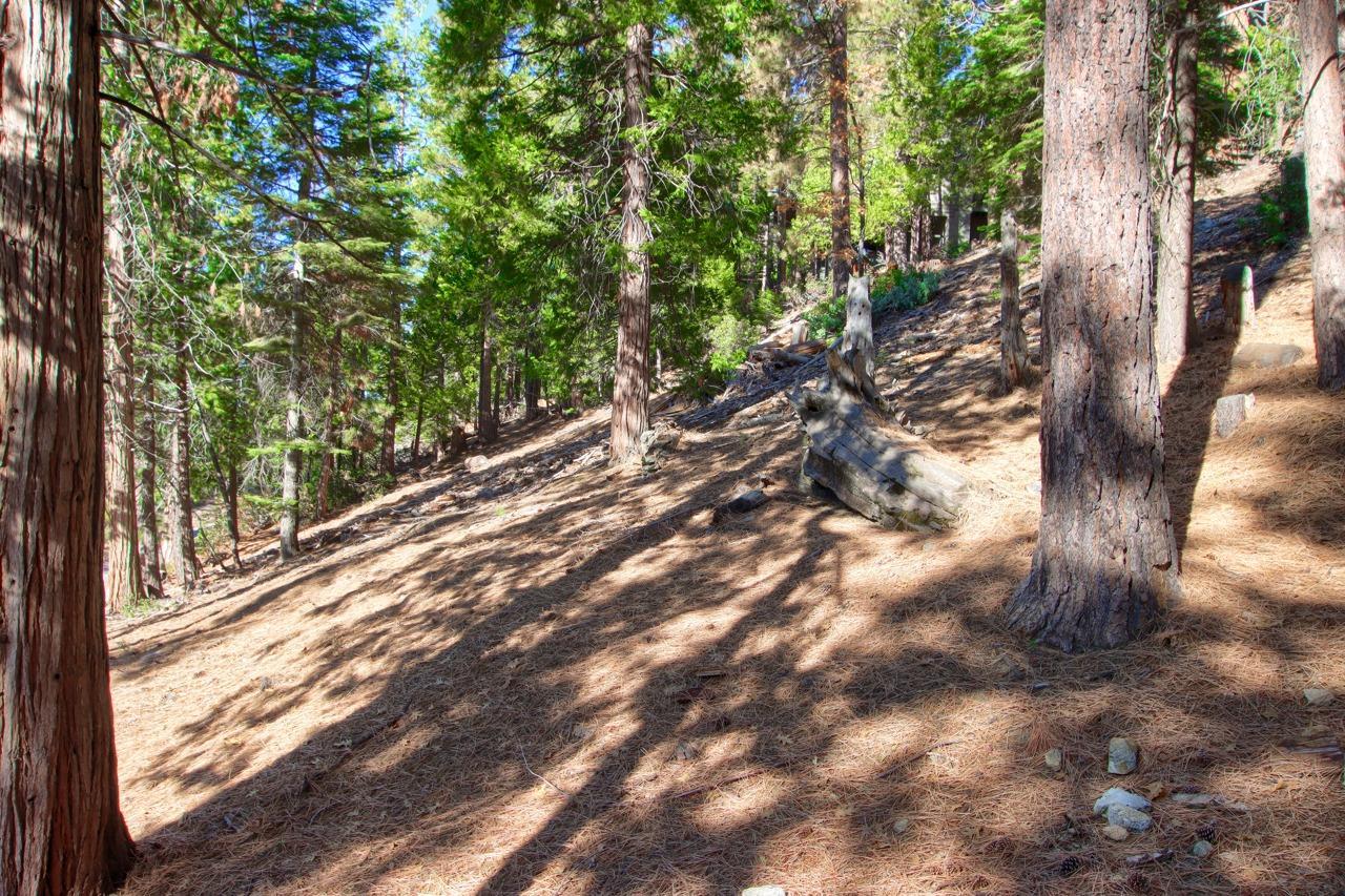 7466 Yosemite Park Way, Yosemite, California, 95389, United States, 3 Bedrooms Bedrooms, ,3 BathroomsBathrooms,Residential,For Sale,7466 Yosemite Park Way,1408920