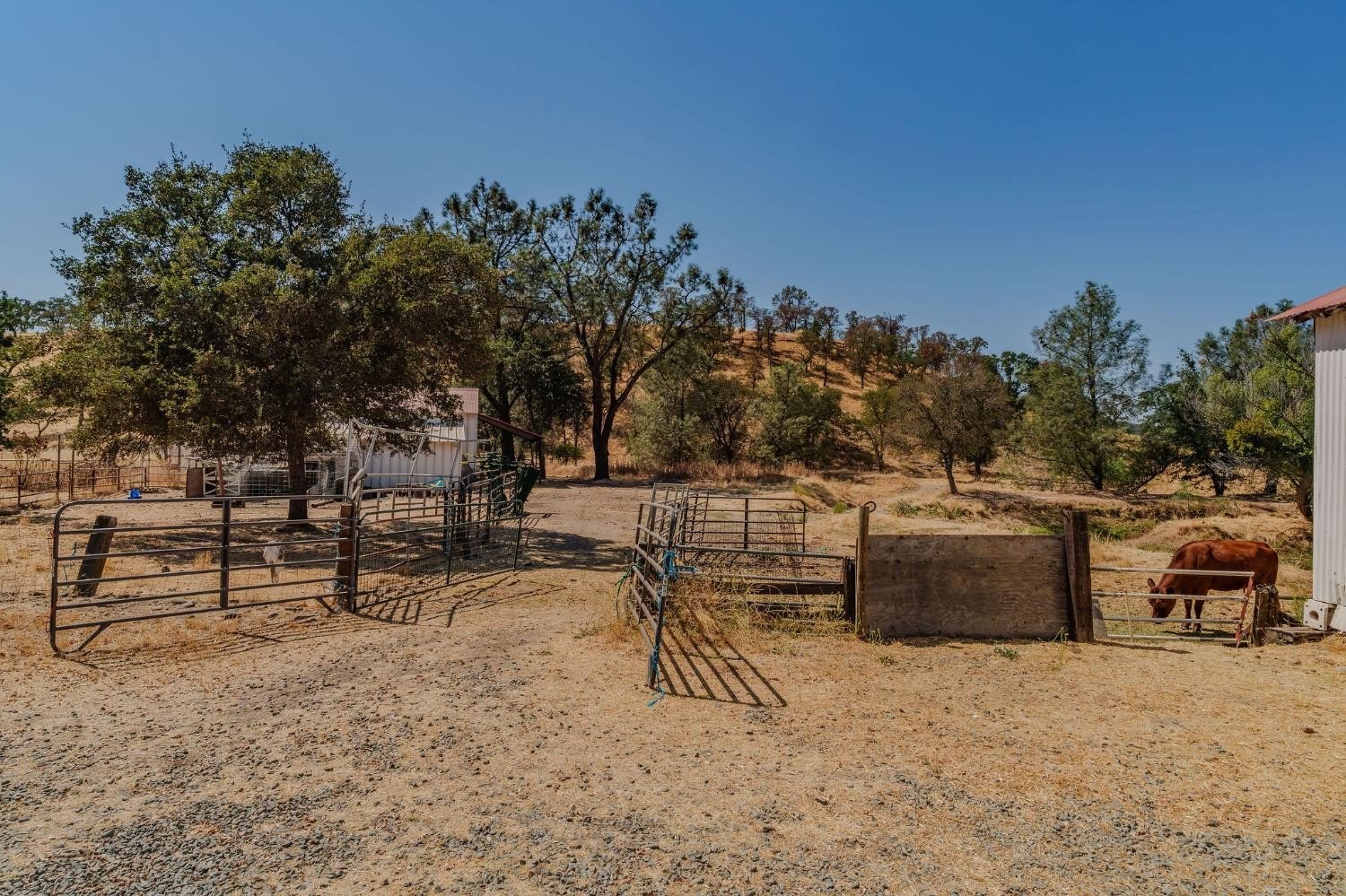 Valley Springs, California, 95252, United States, 3 Bedrooms Bedrooms, ,2 BathroomsBathrooms,Residential,For Sale,1979453