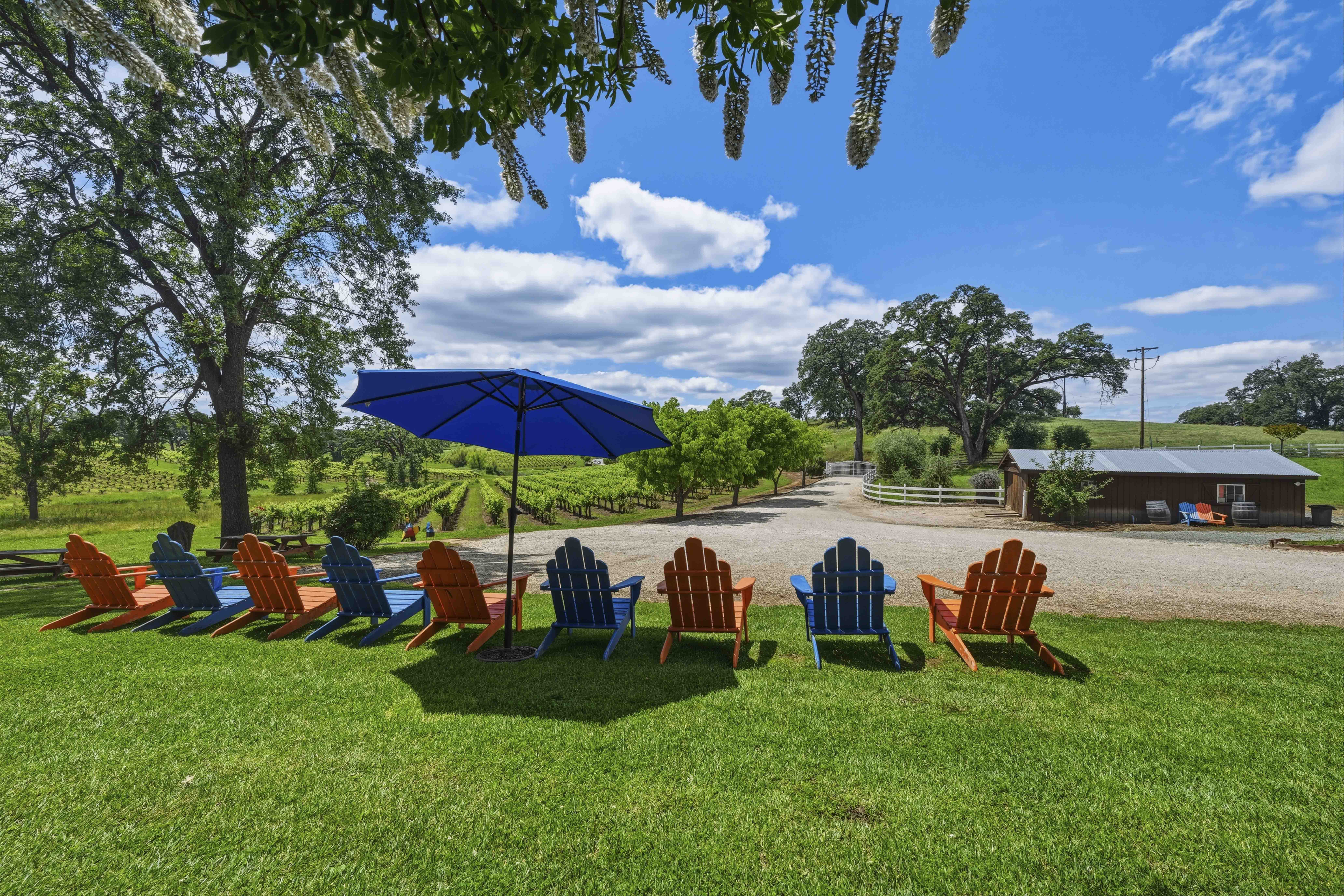  10120 Shenandoah Road, Plymouth, CA 95669 - 物件實景