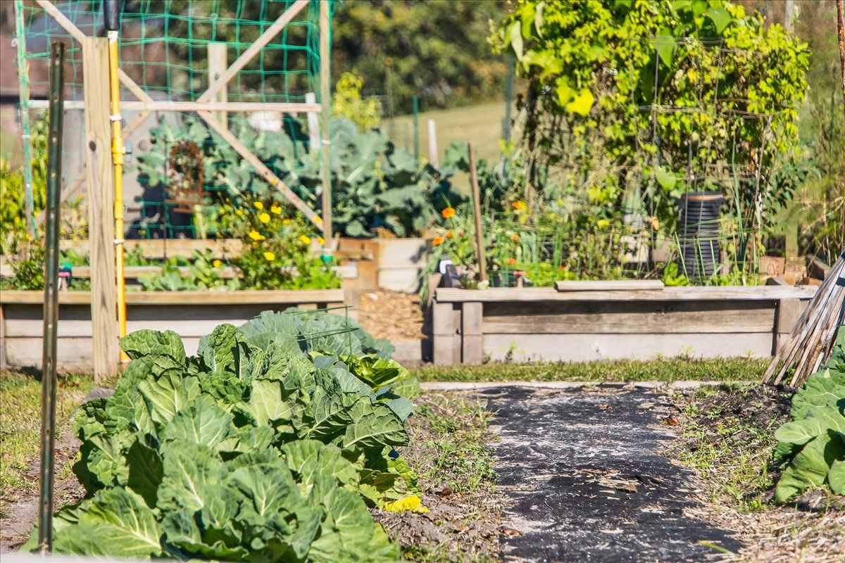 Ocean Isle Beach, North Carolina, 28469, United States, 3 Bedrooms Bedrooms, ,2 BathroomsBathrooms,Residential,For Sale,1992118