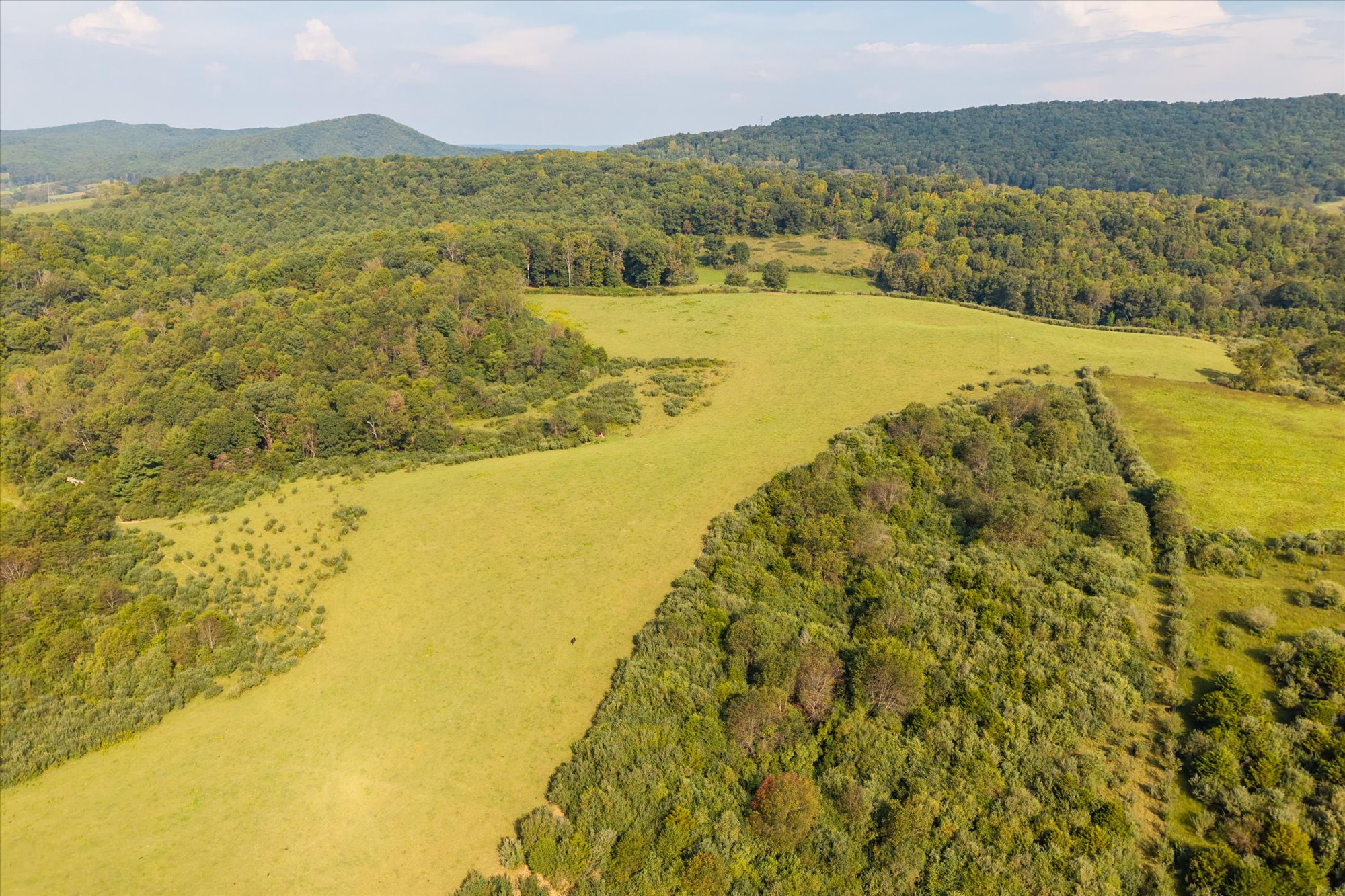  Crystal Springs Farm - 物件實景