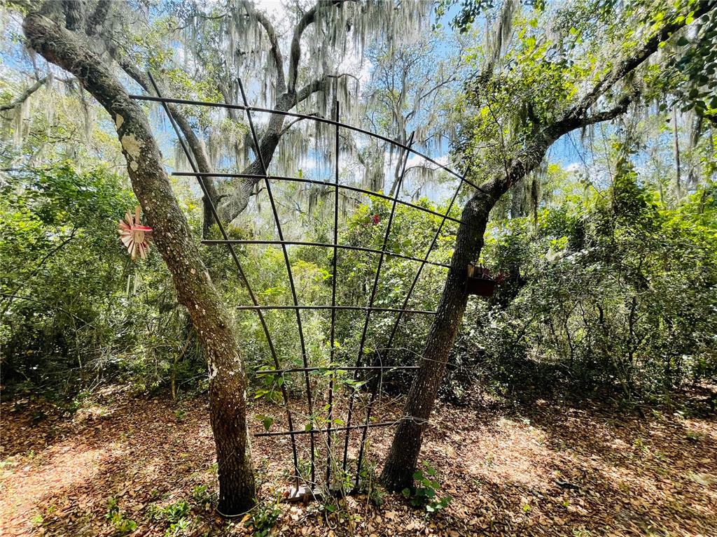 460 CLARK HILL ROAD, OSTEEN, Florida, 32764, United States, 4 Bedrooms Bedrooms, ,3 BathroomsBathrooms,Residential,For Sale,460 CLARK HILL ROAD,1445755