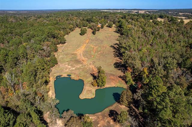 Winona, Texas, 75792, United States, 4 Bedrooms Bedrooms, ,2 BathroomsBathrooms,Residential,For Sale,1995143