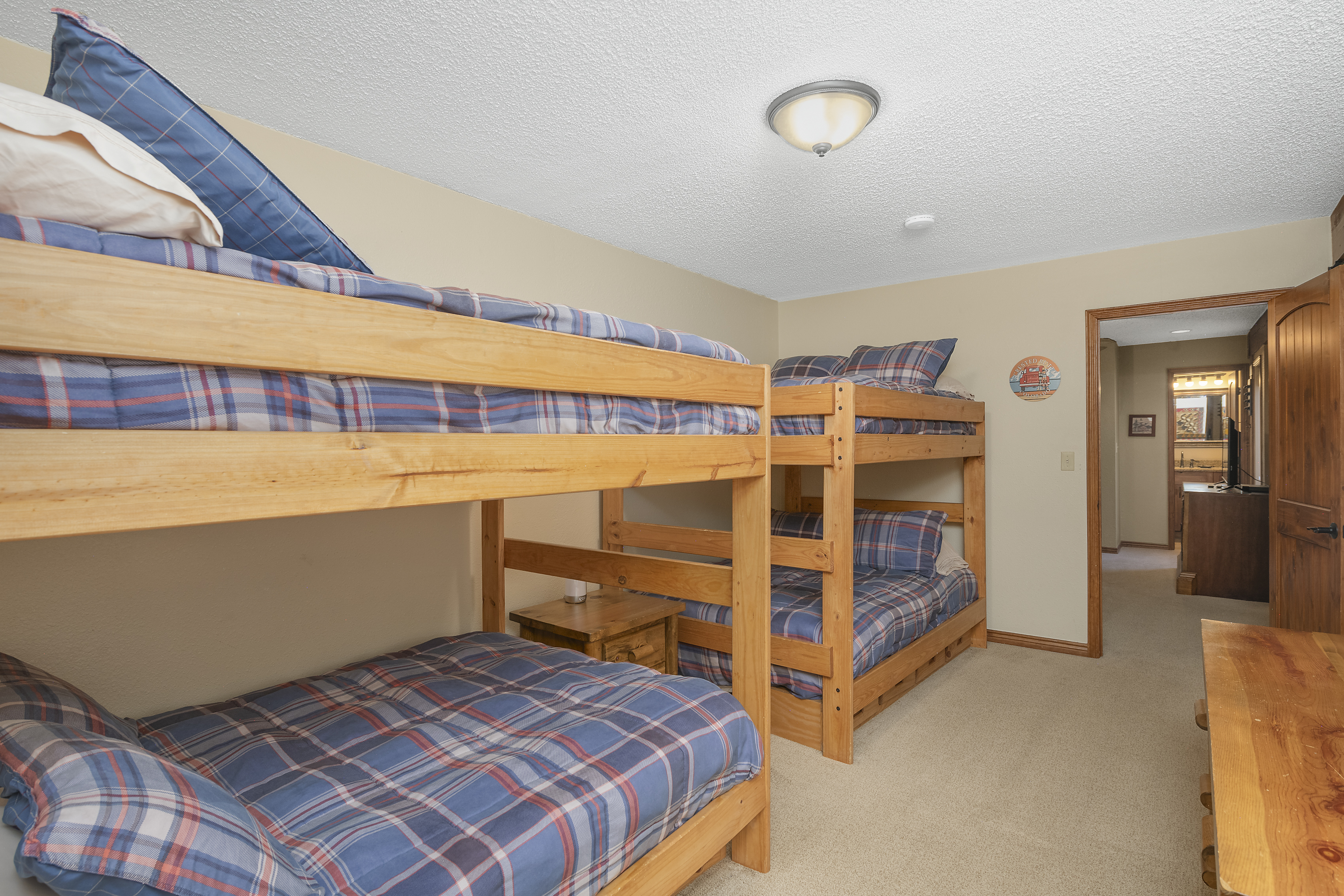  25 Emmons Road, Mt. Crested Butte, CO, 81225 - 物件實景