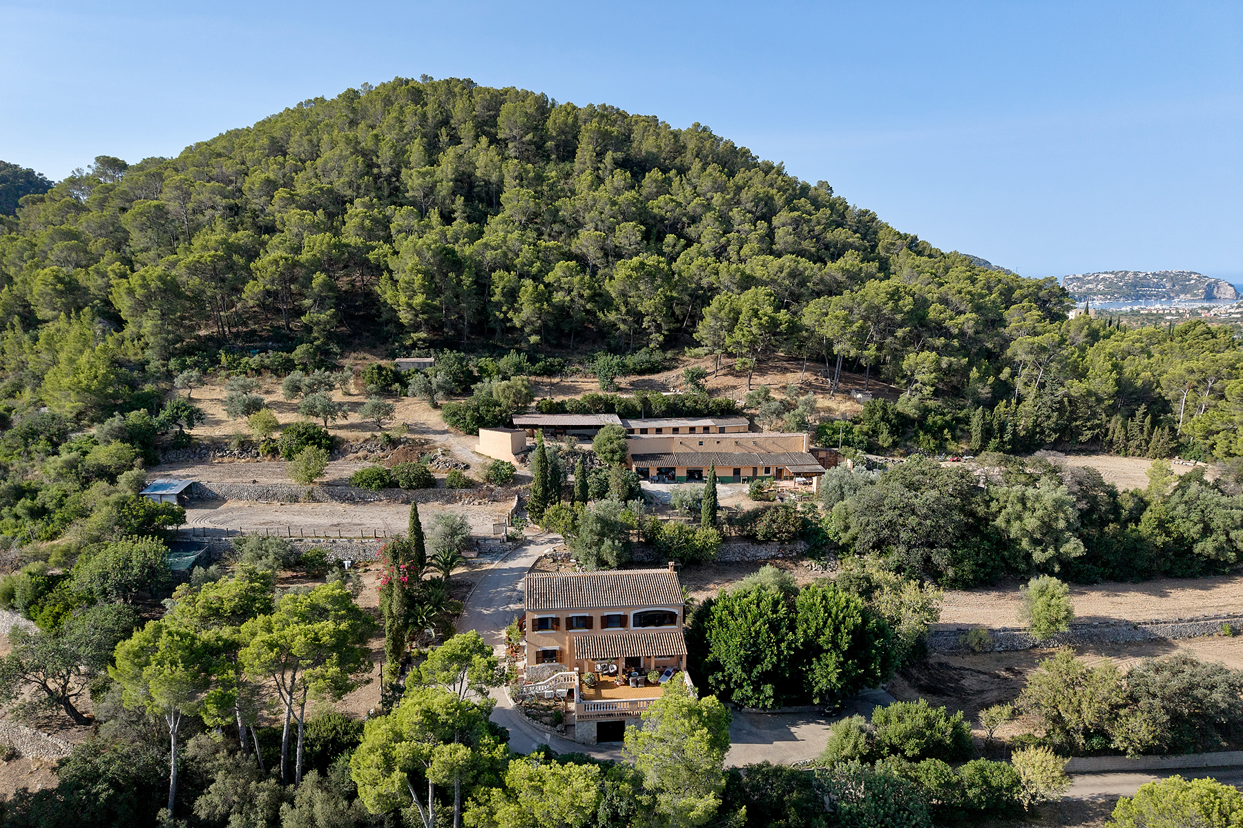  Country Estate with Equestrian Facilities in Port Andratx - 物件實景