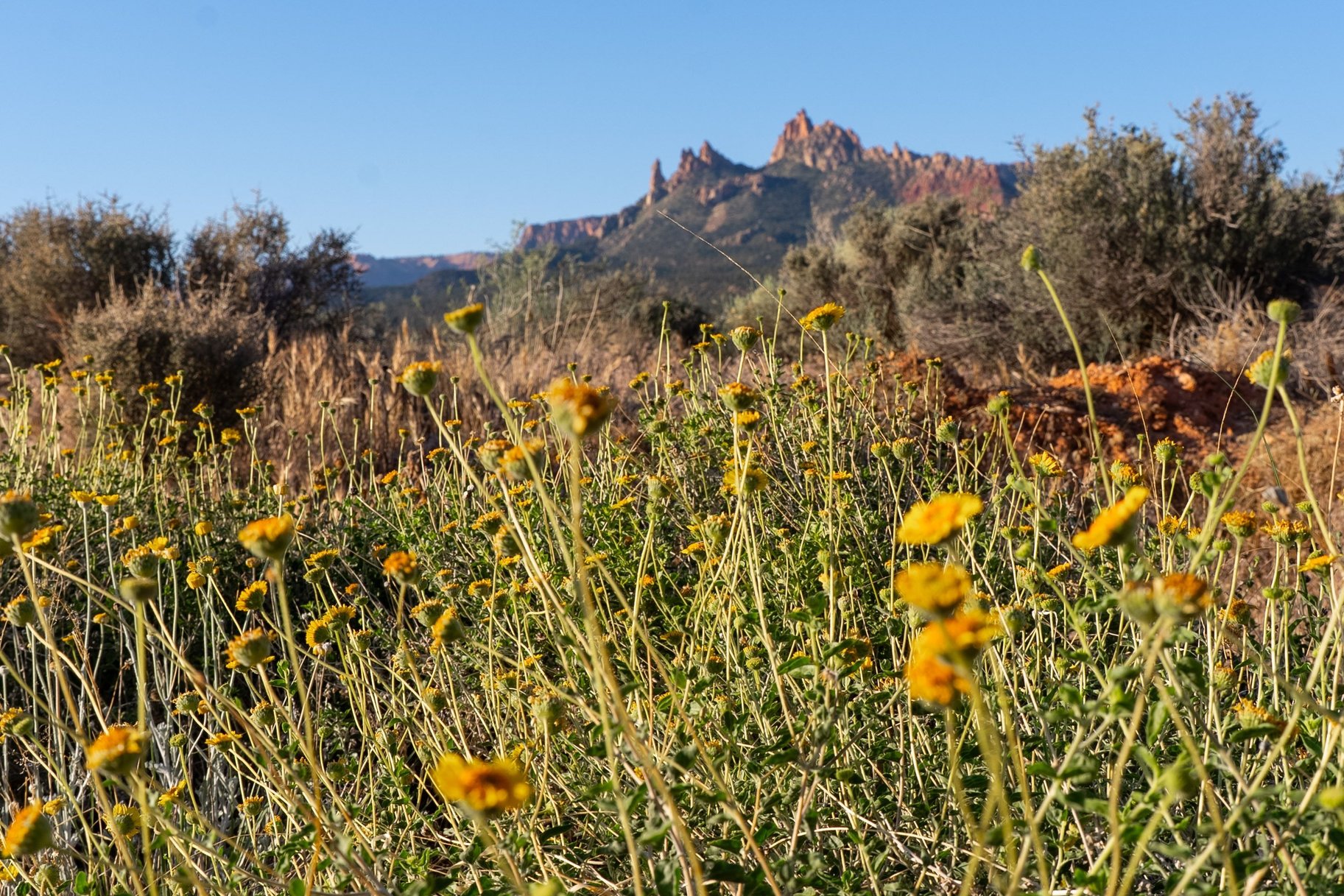 Zion Foothill Masterpiece - 物件實景