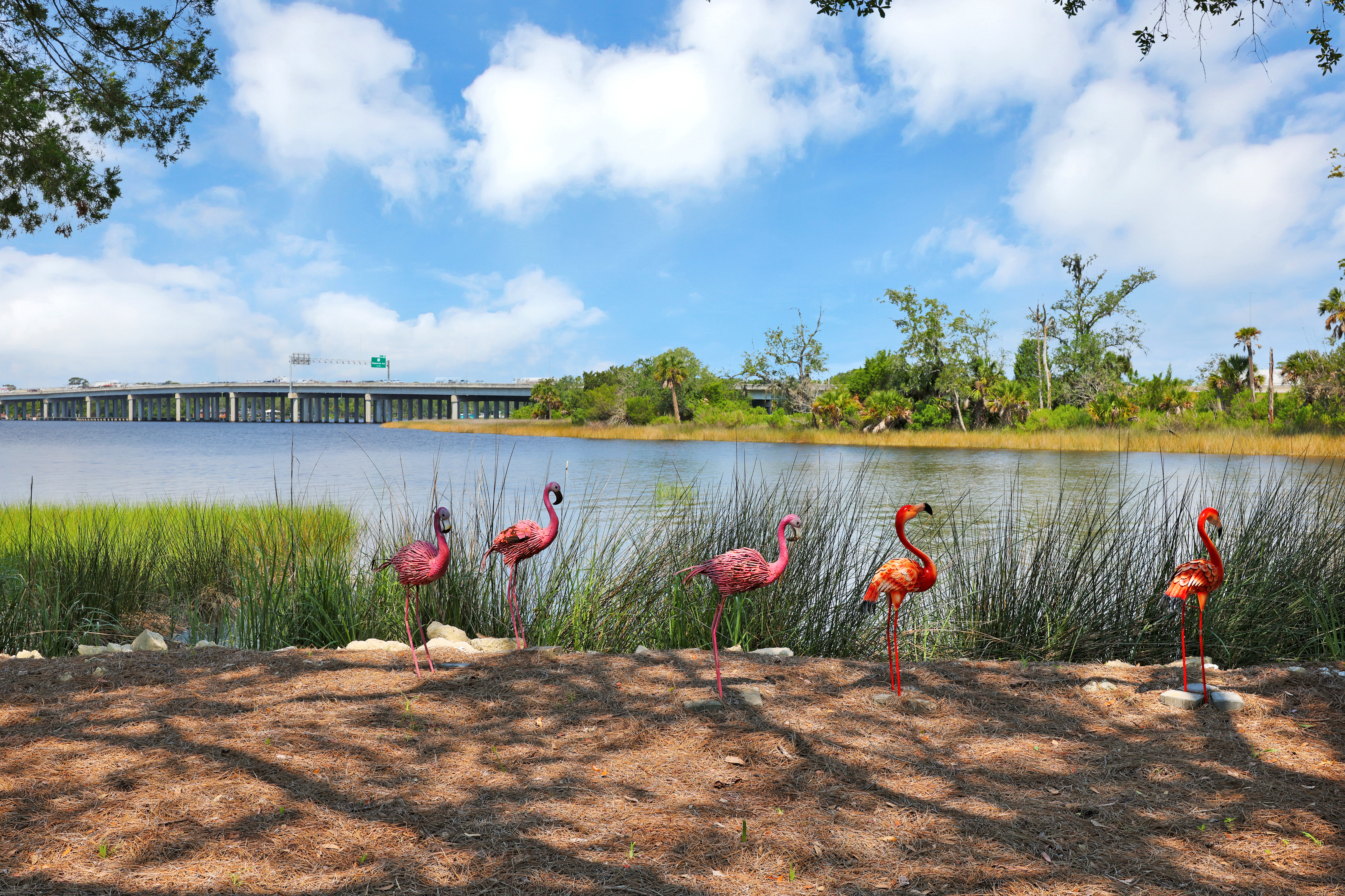  580 Broward Road, Jacksonville, FL, 32218 - 物件實景