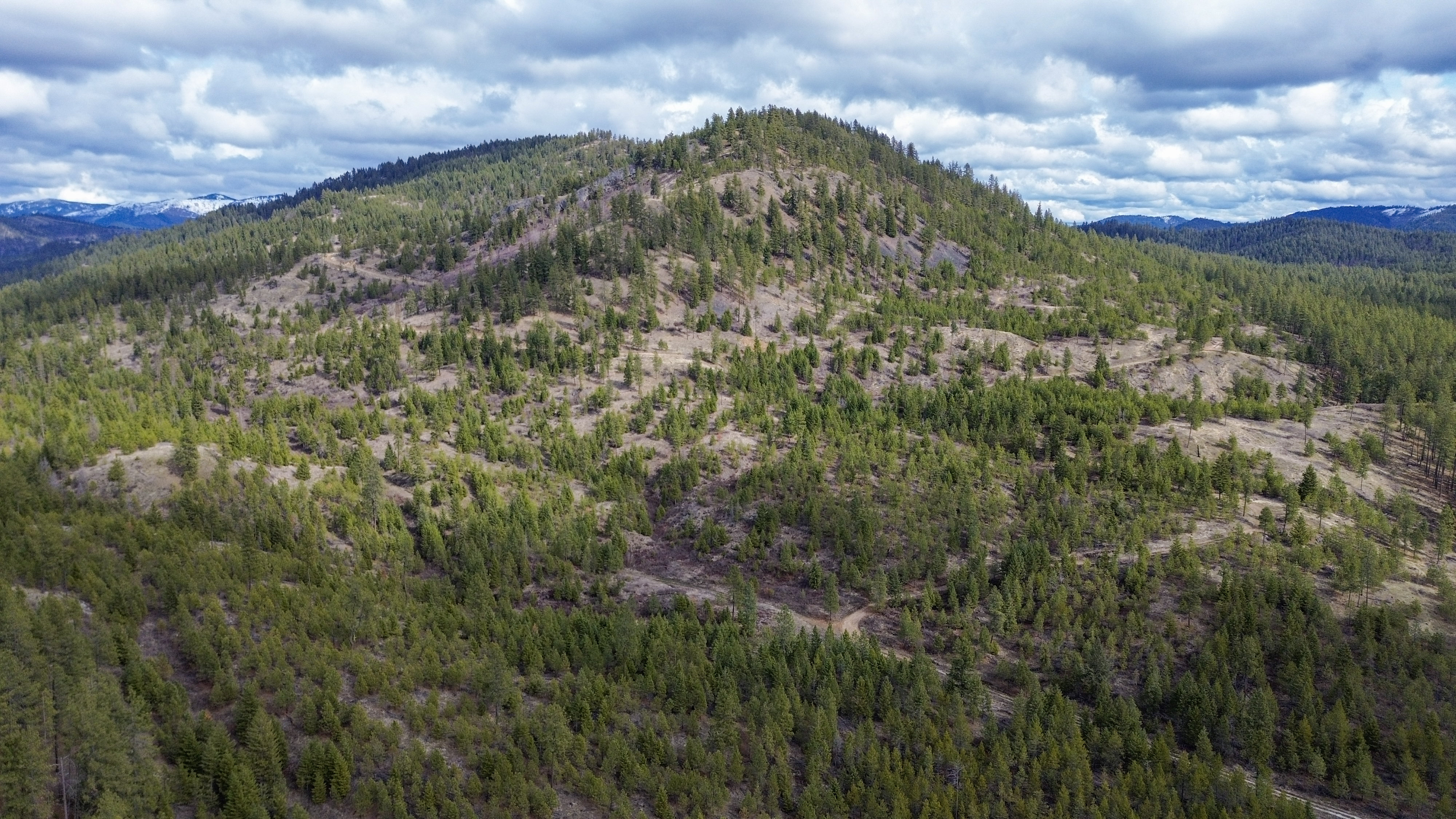 Valley, Washington, 99181, United States, ,Land,For Sale,1979391