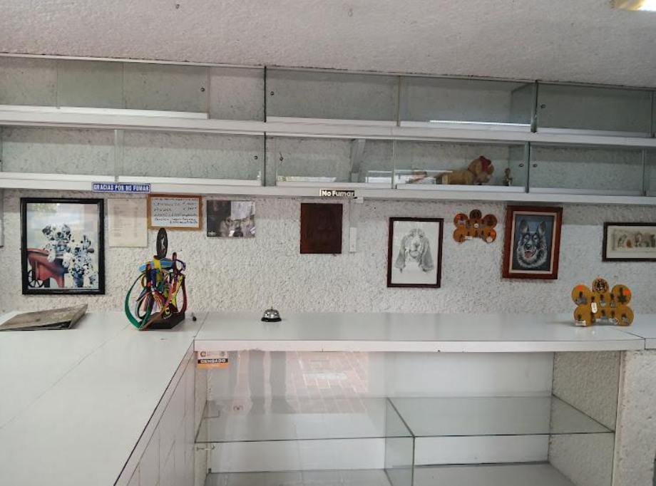 Coyoacán, Ciudad de México, 04200, Mexico, 4 Bedrooms Bedrooms, ,2 BathroomsBathrooms,Residential,For Sale,1916889