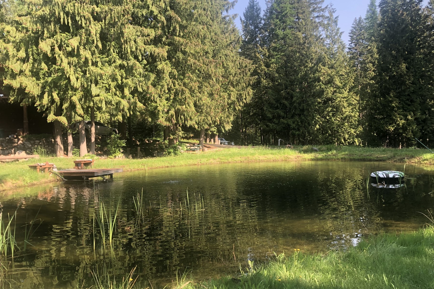  Tree Farm & Home on 6+ Acres - 物件實景