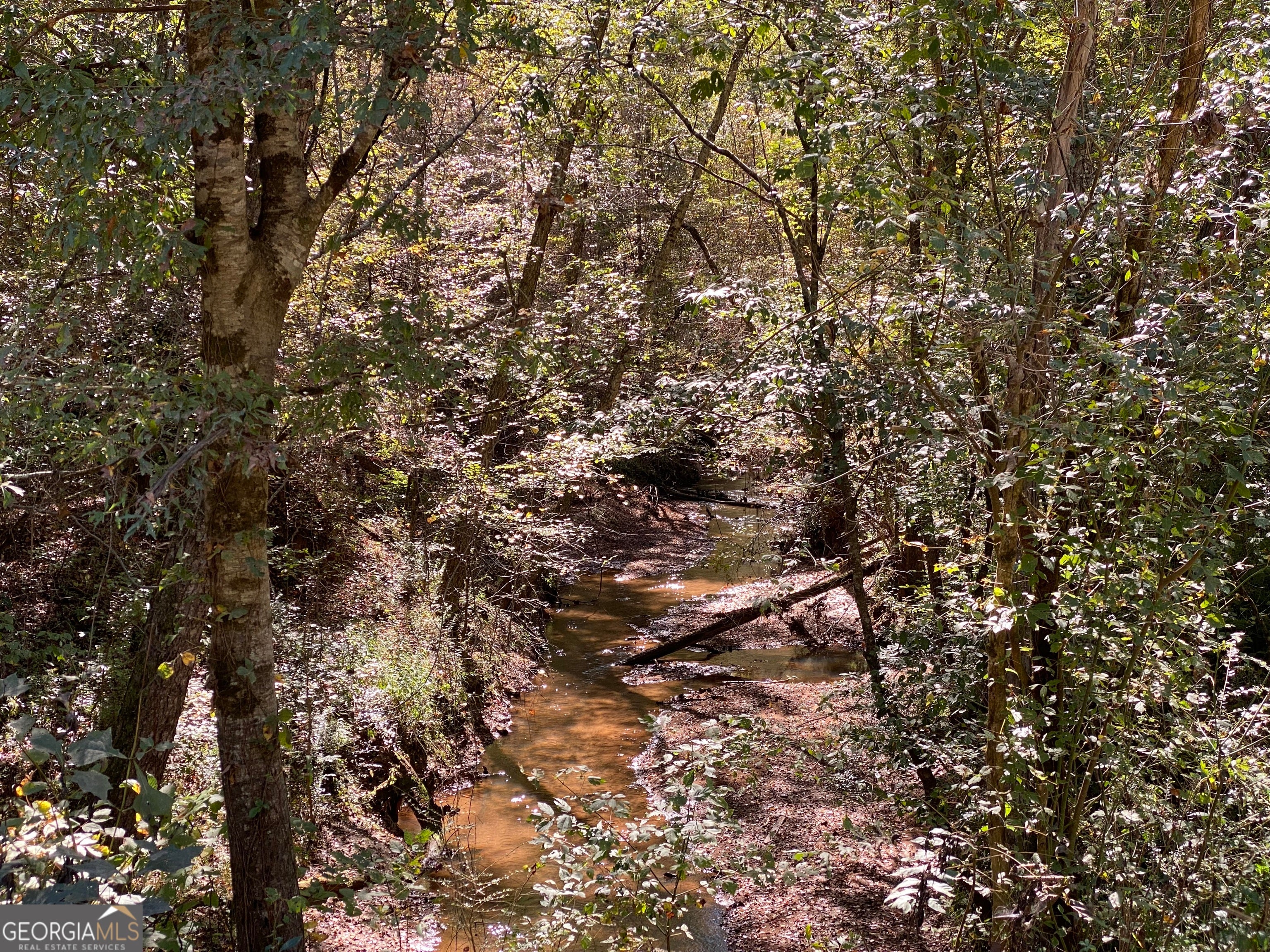 Forsyth, Georgia, 31029, United States, ,Land,For Sale,1907989