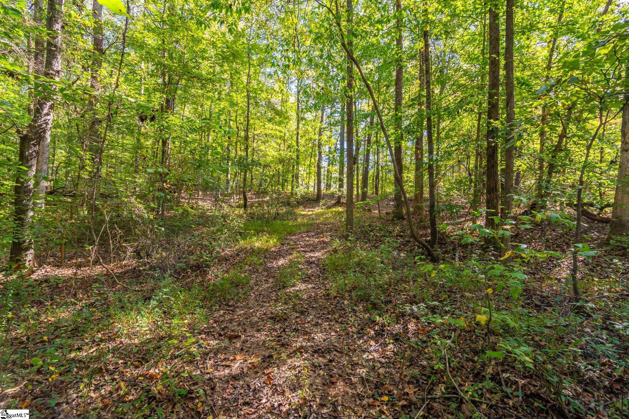 276 Burns Road, Greer, South Carolina, 29651, United States, ,Land,For Sale,276 Burns Road,1628297