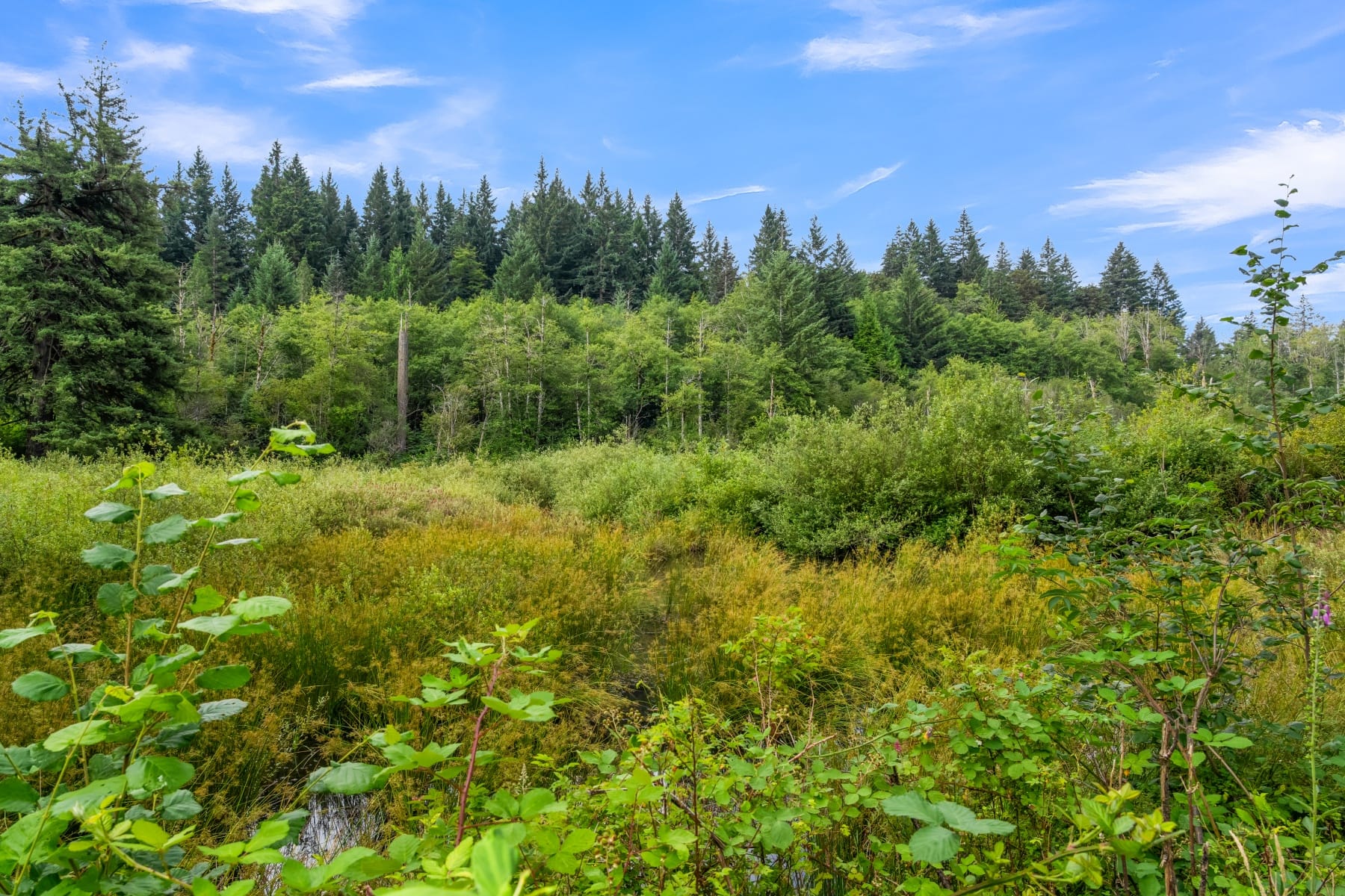  3832 NE CAVITT RD Camas, WA 98607 - 物件實景