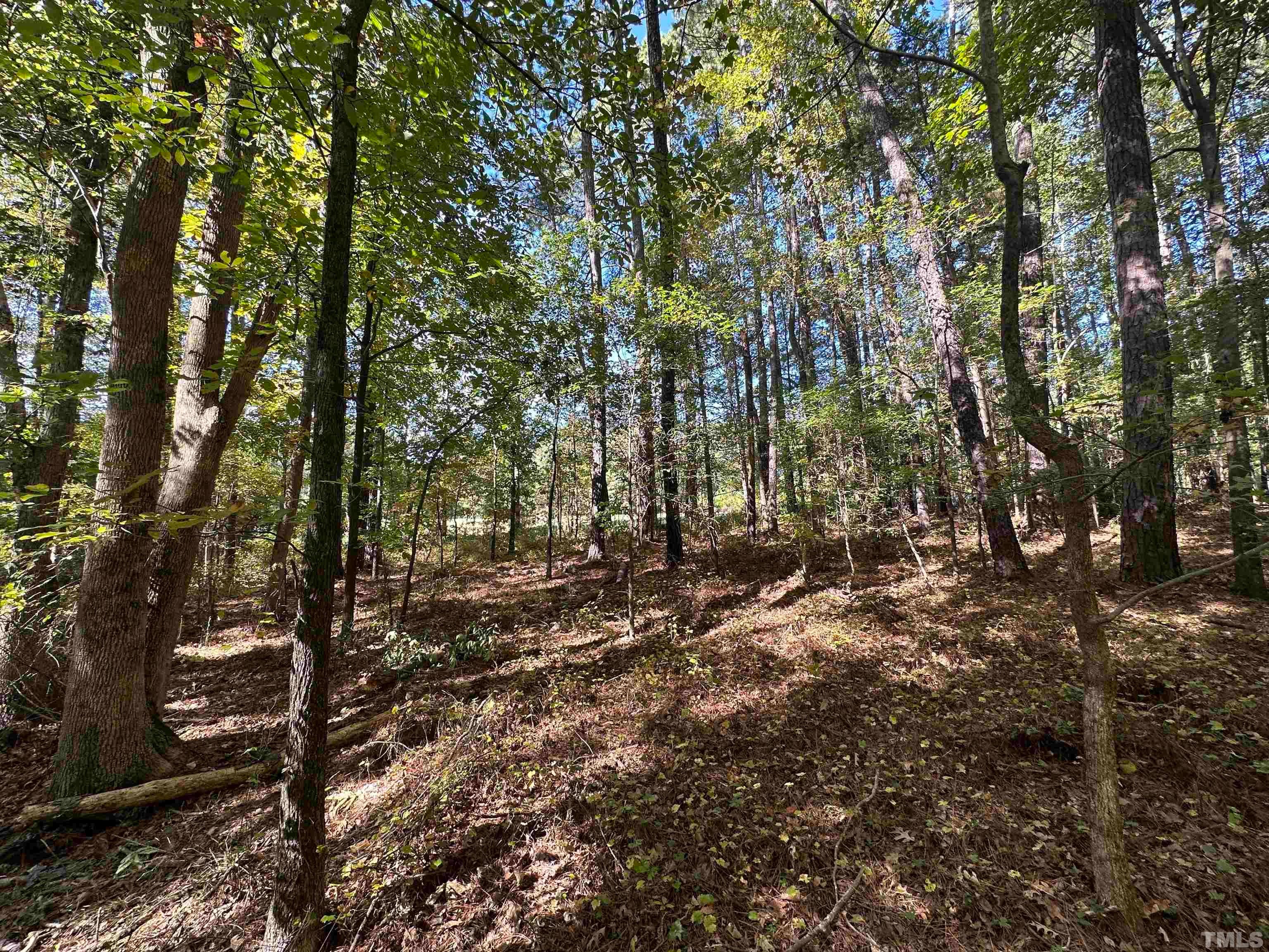 8017 Farrington Mill Road, Chapel Hill, North Carolina, 27517, United States, ,Land,For Sale,8017 Farrington Mill Road,1623508