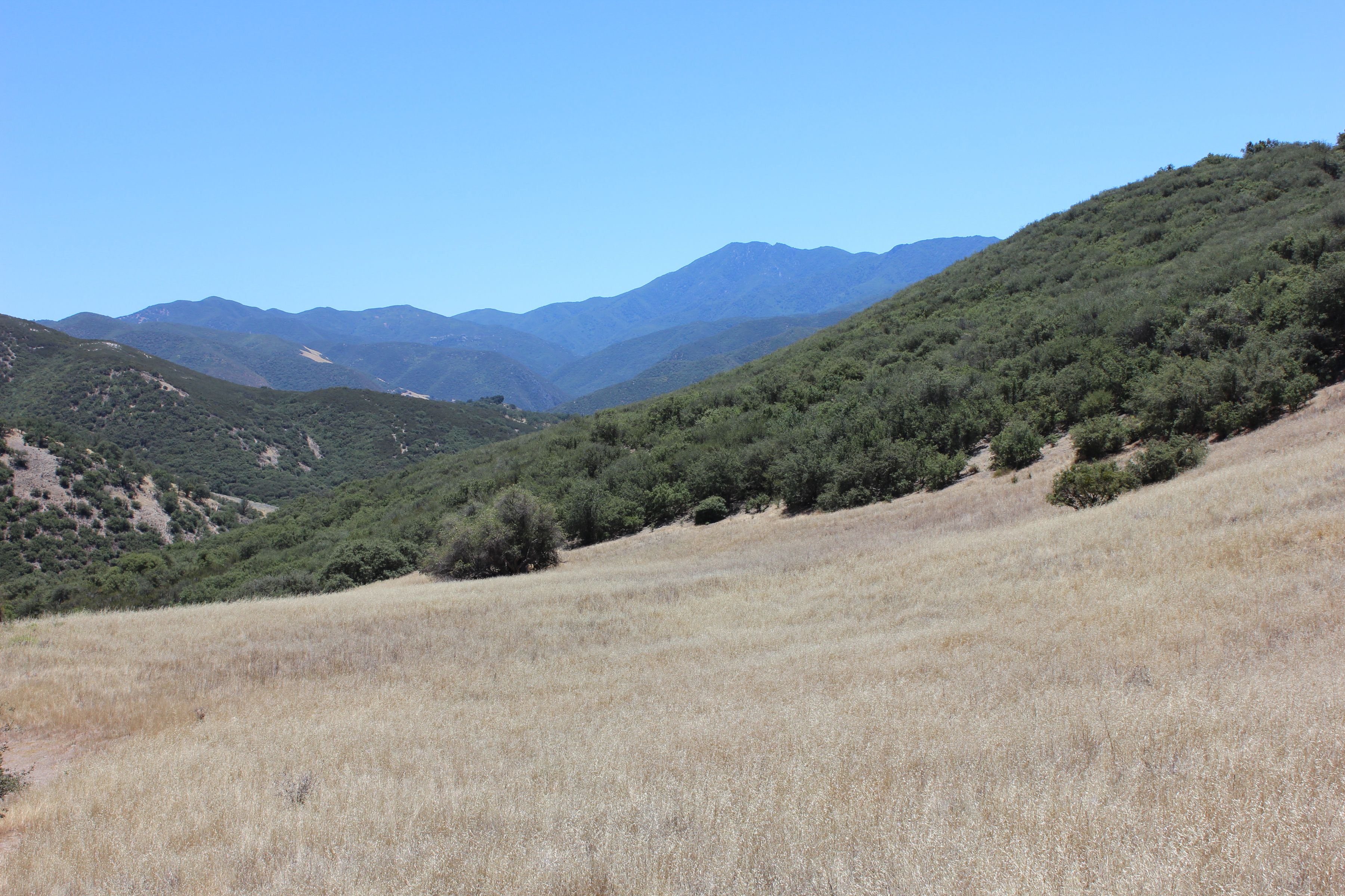  0 East Carmel Valley Road - 物件實景