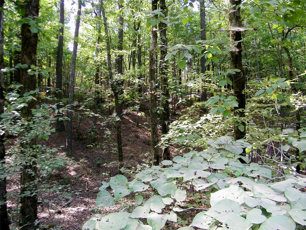 Broken Bow, Oklahoma, 74728, United States, ,Residential,For Sale,1979541