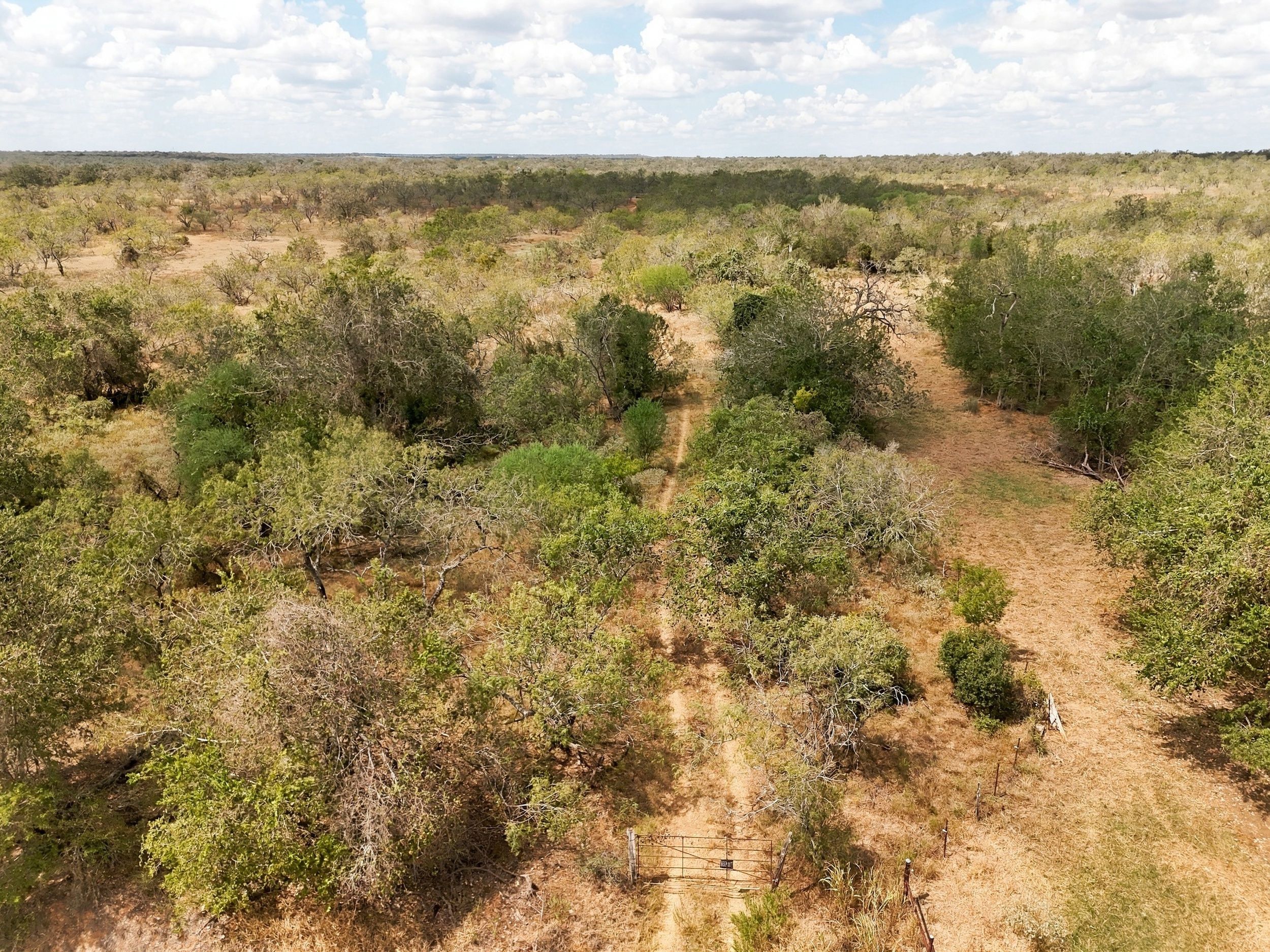  186+/- Acre Post Oak Hill Ranch - 物件實景