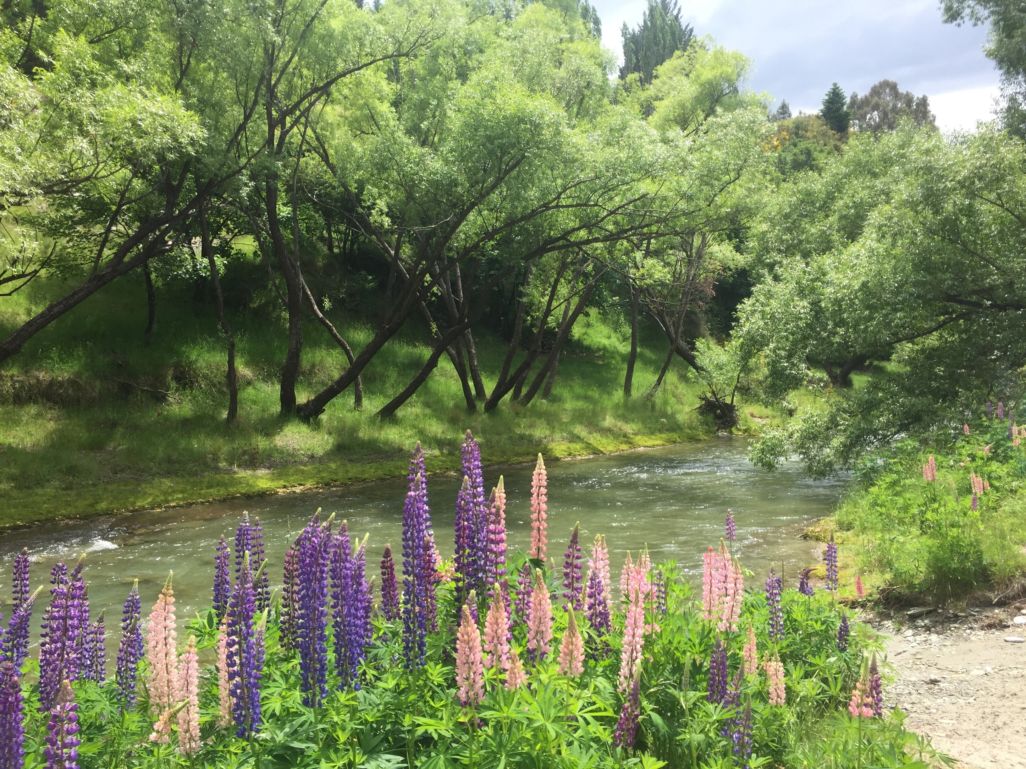  Premium Position, Five Minutes From Arrowtown - 物件實景