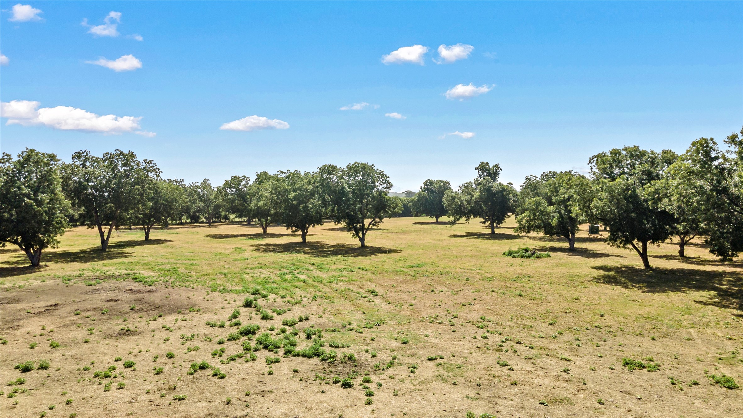 Reagan, Texas, 76680, United States, ,Land,For Sale,1986271