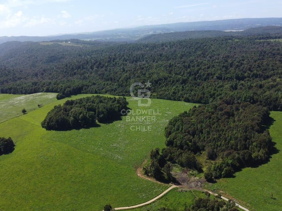 Los Muermos, Chile, ,Residential,For Sale,1956366