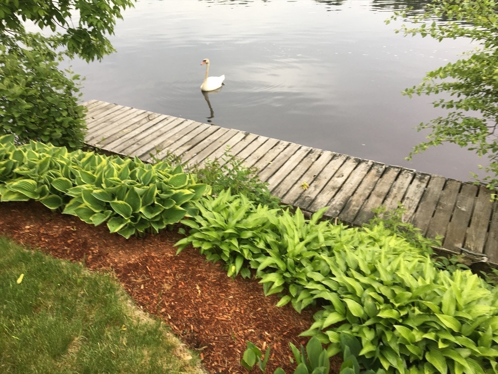 Methuen, Massachusetts, 01844, United States, 3 Bedrooms Bedrooms, ,2 BathroomsBathrooms,Residential,For Sale,1981346