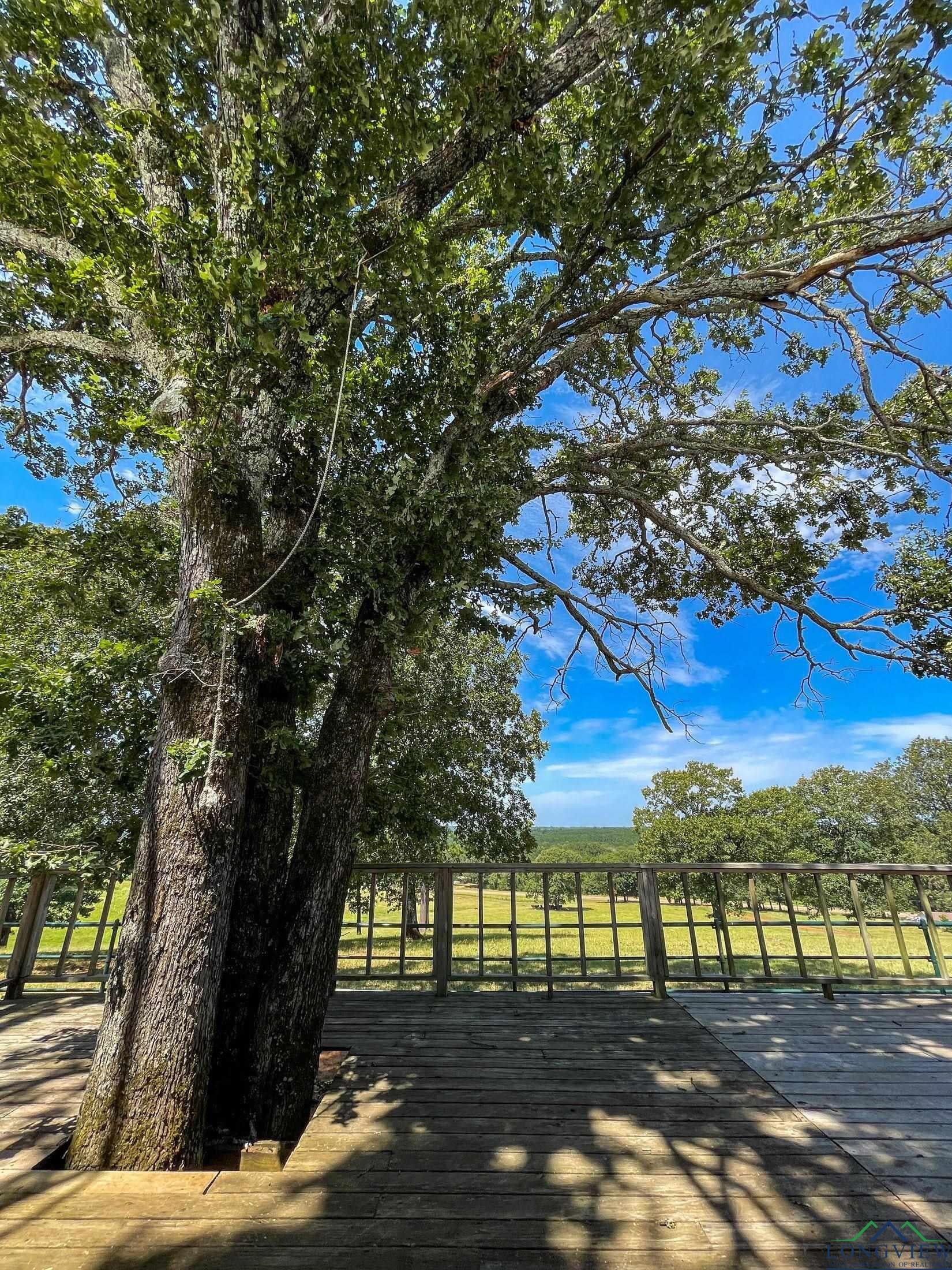 Linden, Texas, 75563, United States, 4 Bedrooms Bedrooms, ,3 BathroomsBathrooms,Residential,For Sale,1984519