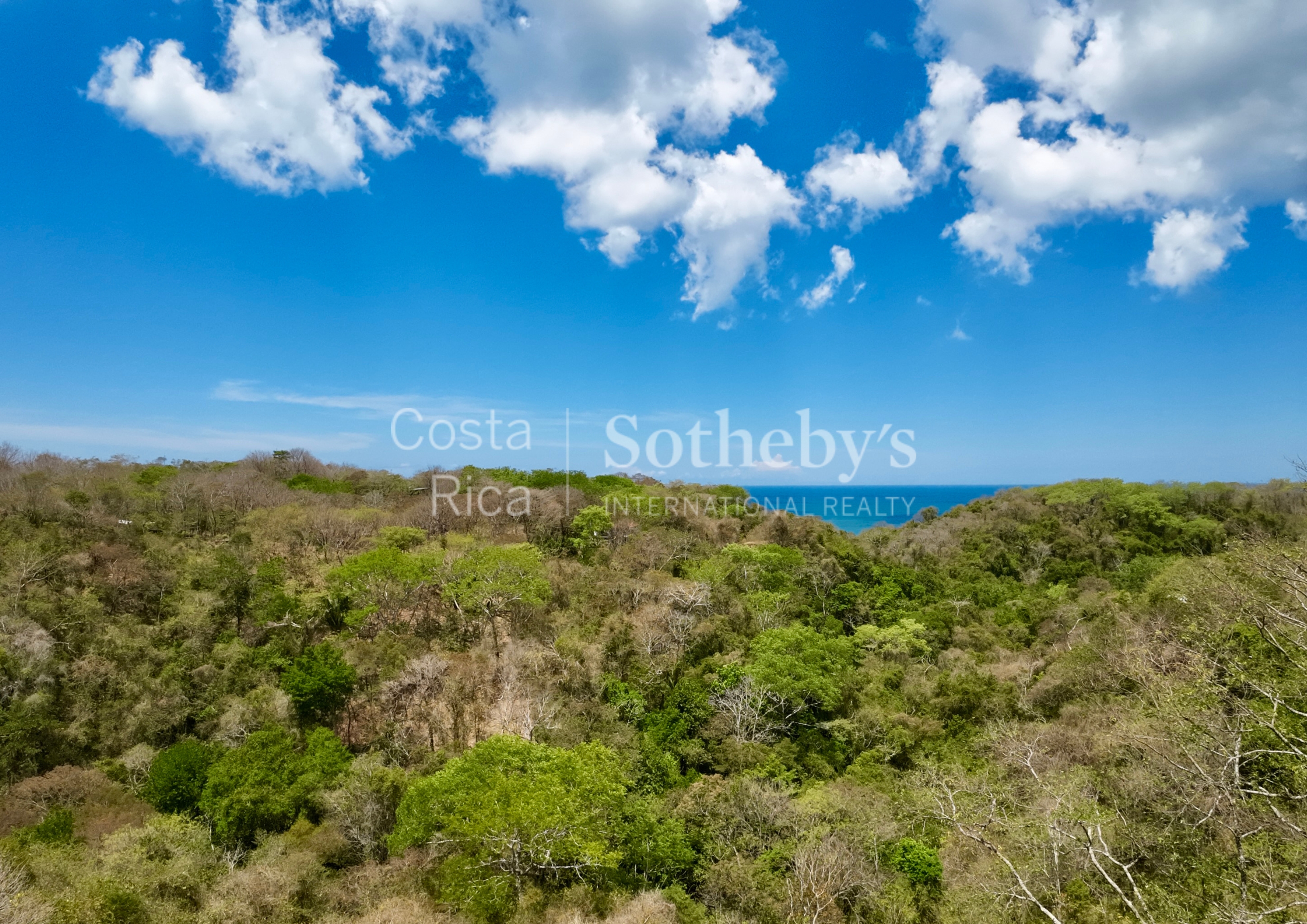  Expansive Ocean View Lot in the Hills of Hermosa - 物件實景