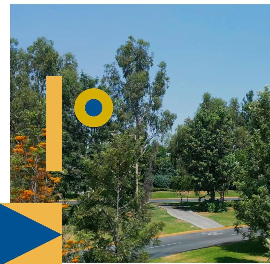 Juan Palomar y Arias, Zapopan, Jalisco, 45110, Mexico, 1 Bedroom Bedrooms, ,Residential,For Sale,Juan Palomar y Arias,1634445