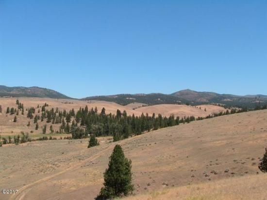 Nhn Granite Creek Road, Florence, Montana, 59833, United States, ,Residential,For Sale,Nhn Granite Creek Road,1205566