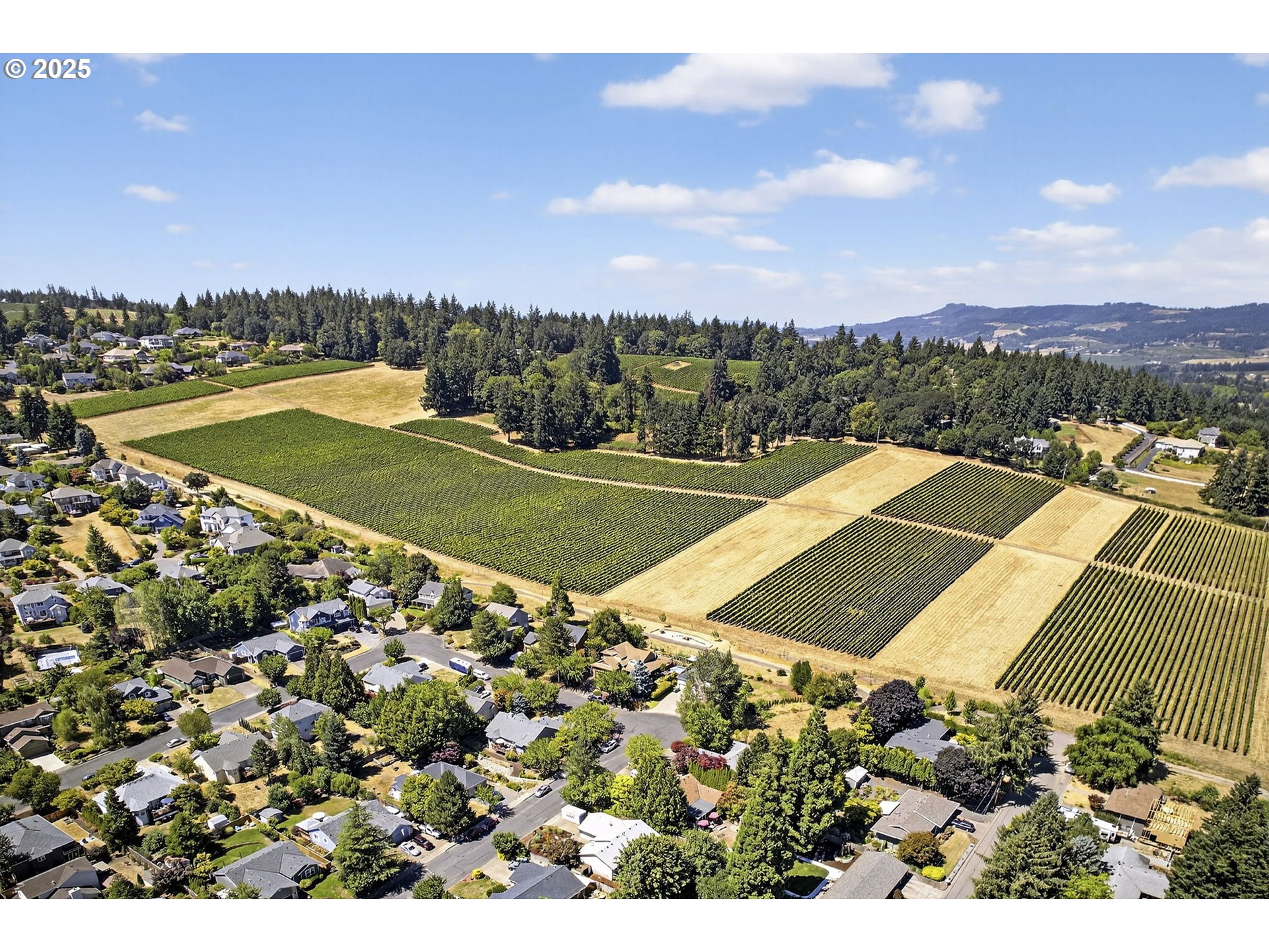 Dundee, Oregon, 97115, United States, 3 Bedrooms Bedrooms, ,2 BathroomsBathrooms,Residential,For Sale,1903917