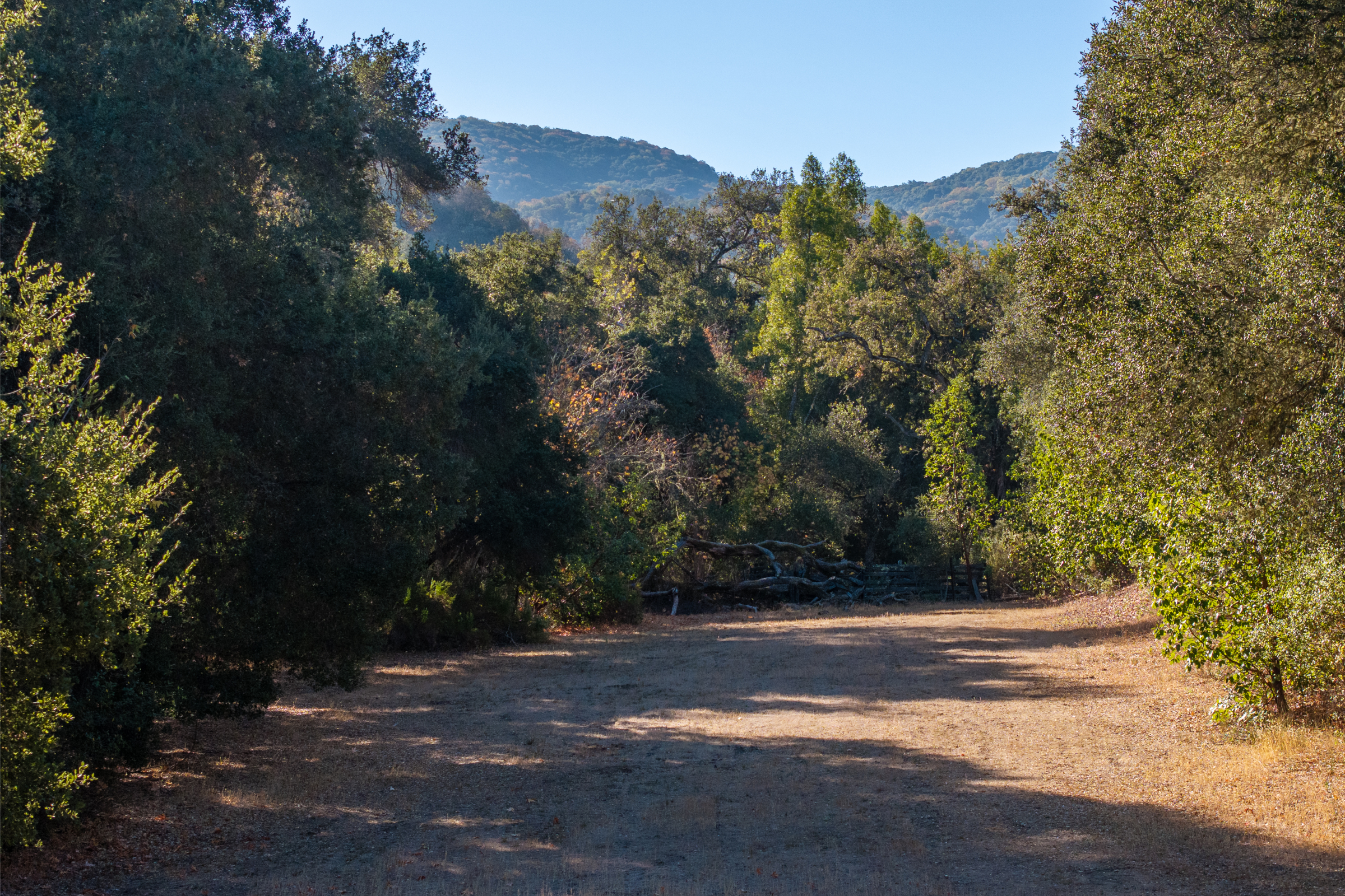  38652 Tassajara Road - 物件實景