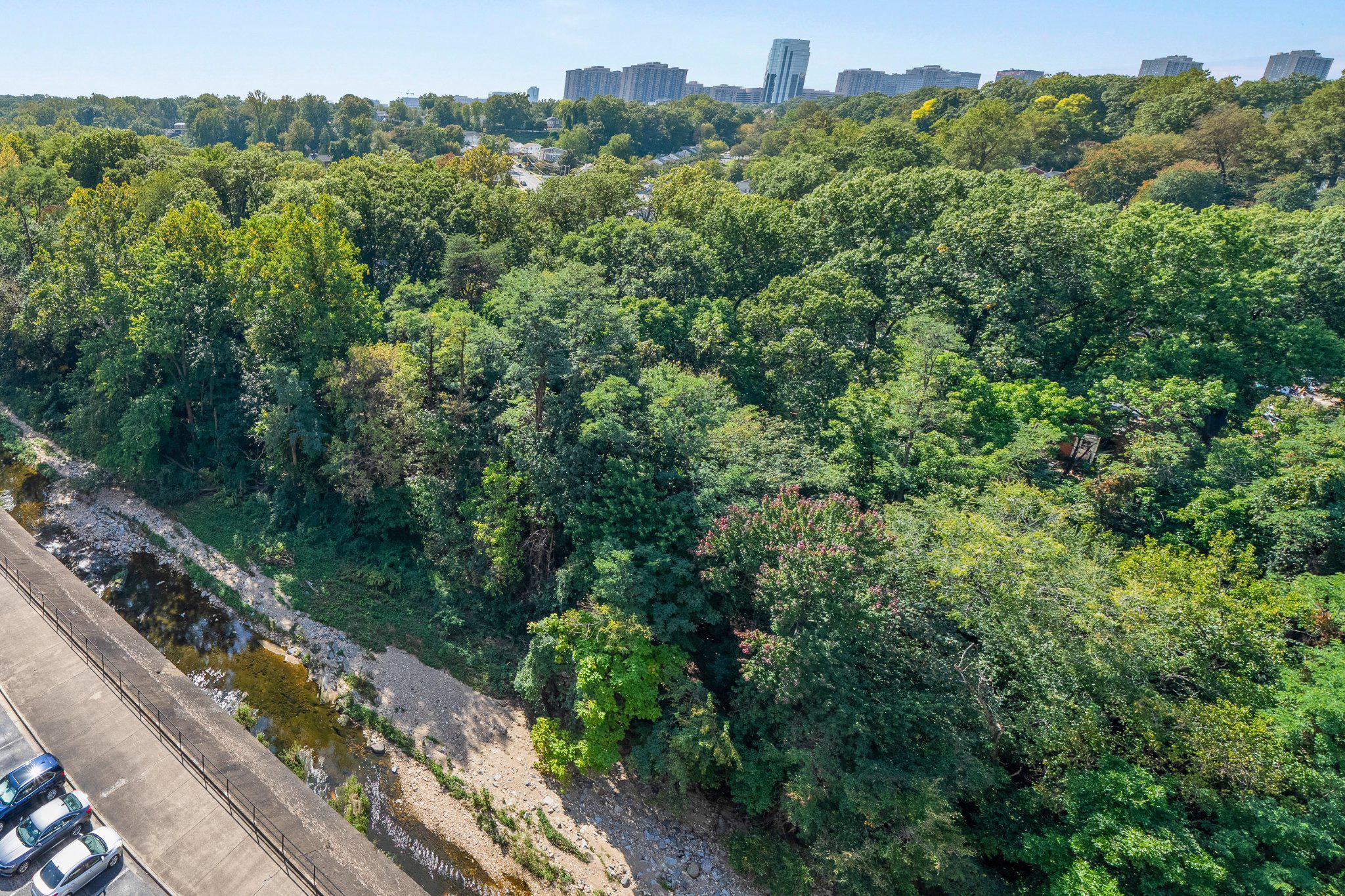  4600 S Four Mile Run Drive, Arlington, VA, 22204 - 物件實景