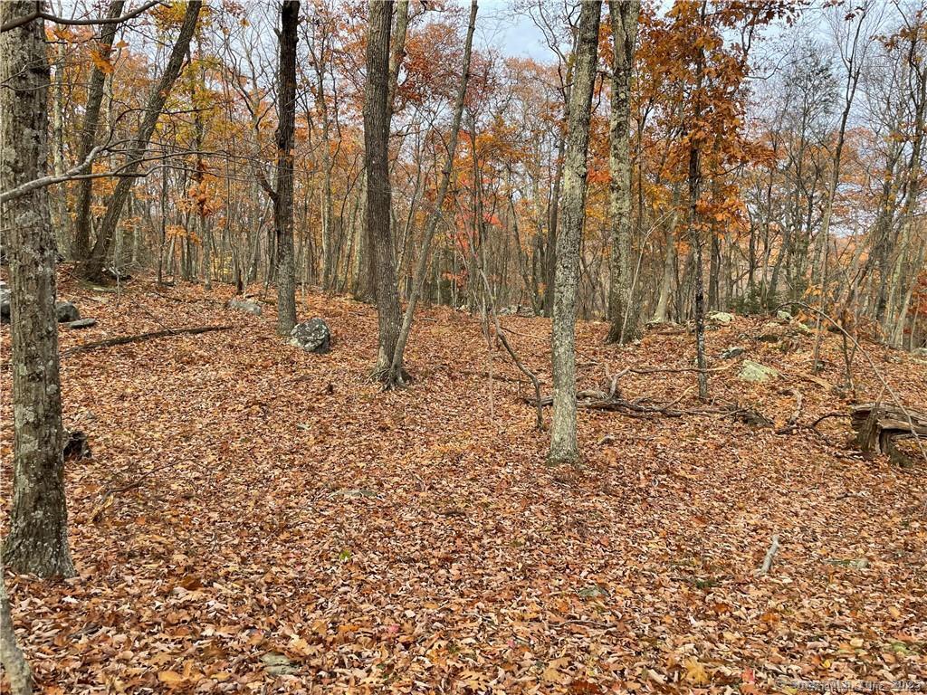 New Fairfield, Connecticut, 06812, United States, ,Residential,For Sale,1986113