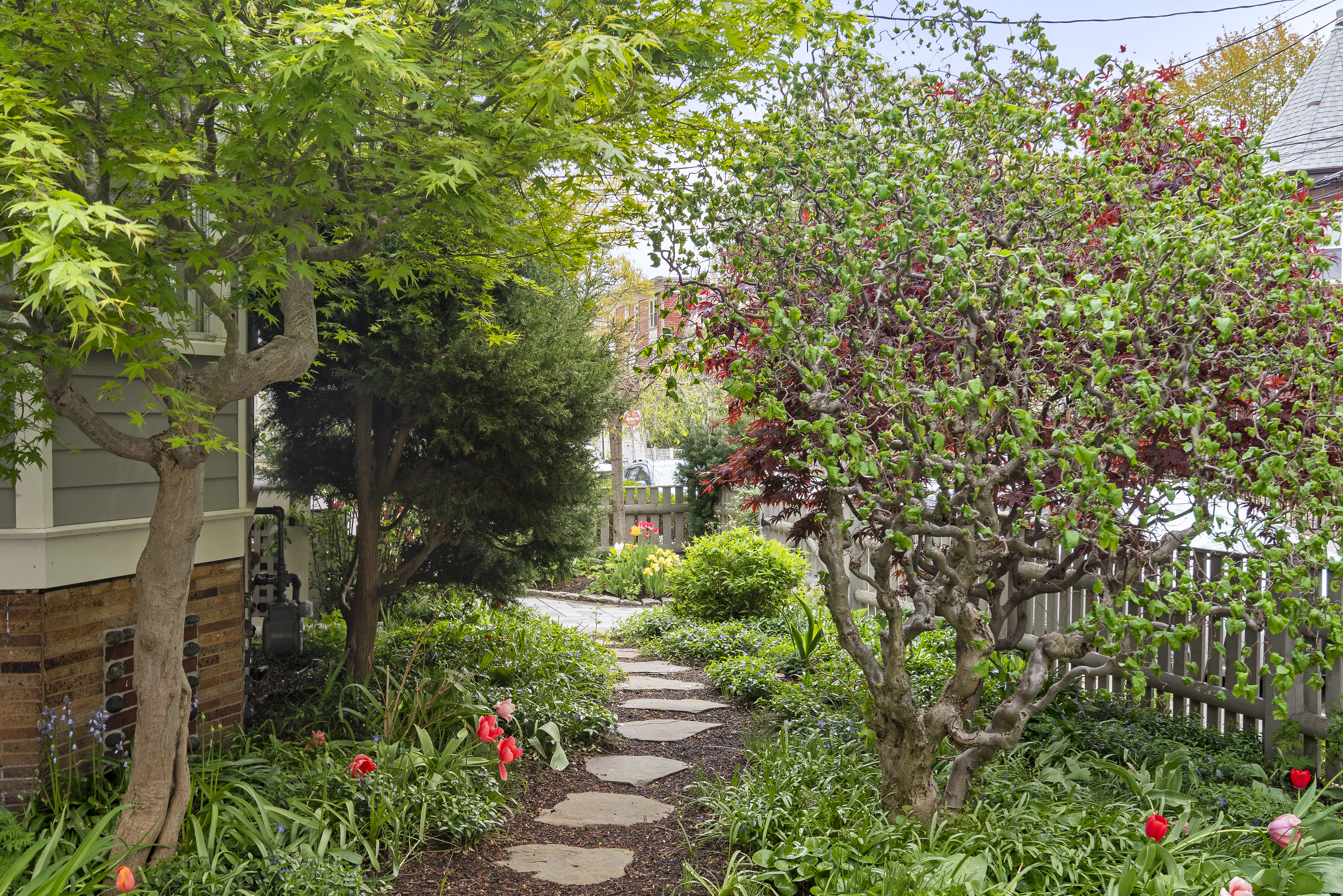  65 Wendell Street, Cambridge, MA, 02138 - 物件實景