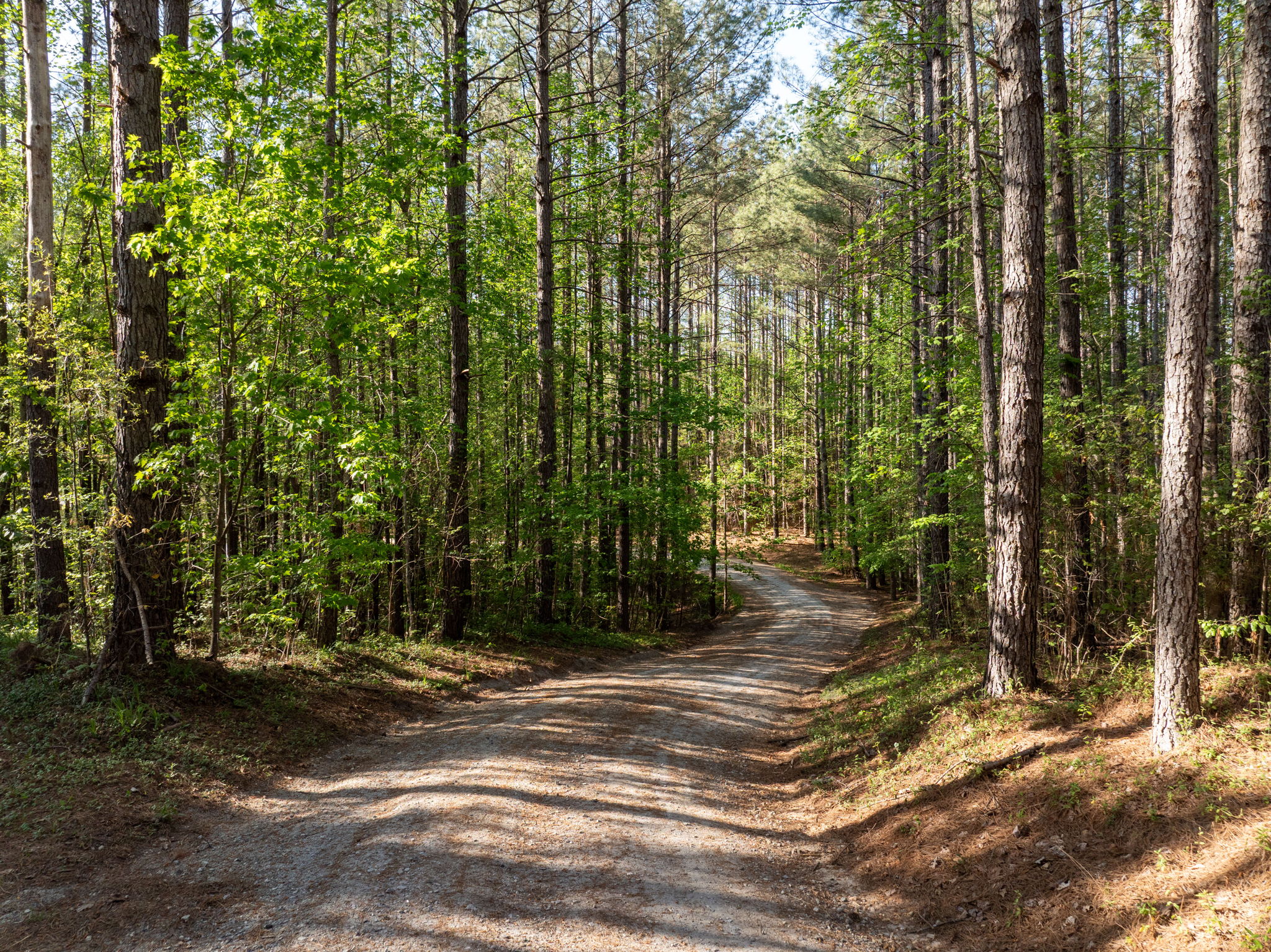  Lyle Farm - 物件實景